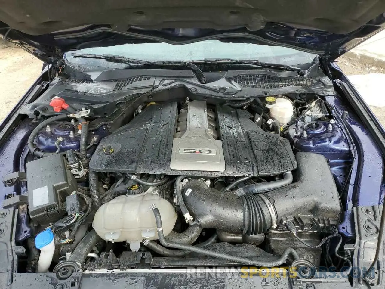 11 Photograph of a damaged car 1FA6P8CF3L5157524 FORD MUSTANG 2020