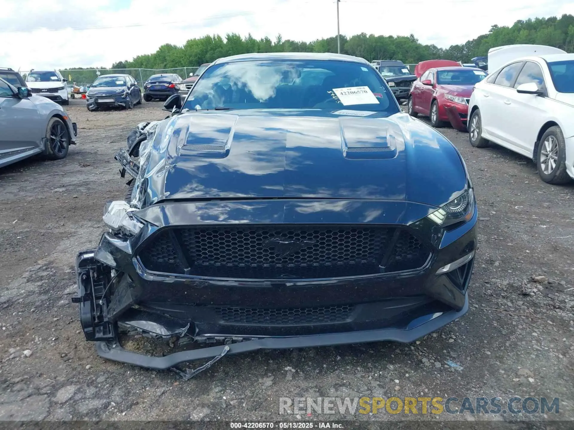 12 Photograph of a damaged car 1FA6P8CF3L5168510 FORD MUSTANG 2020