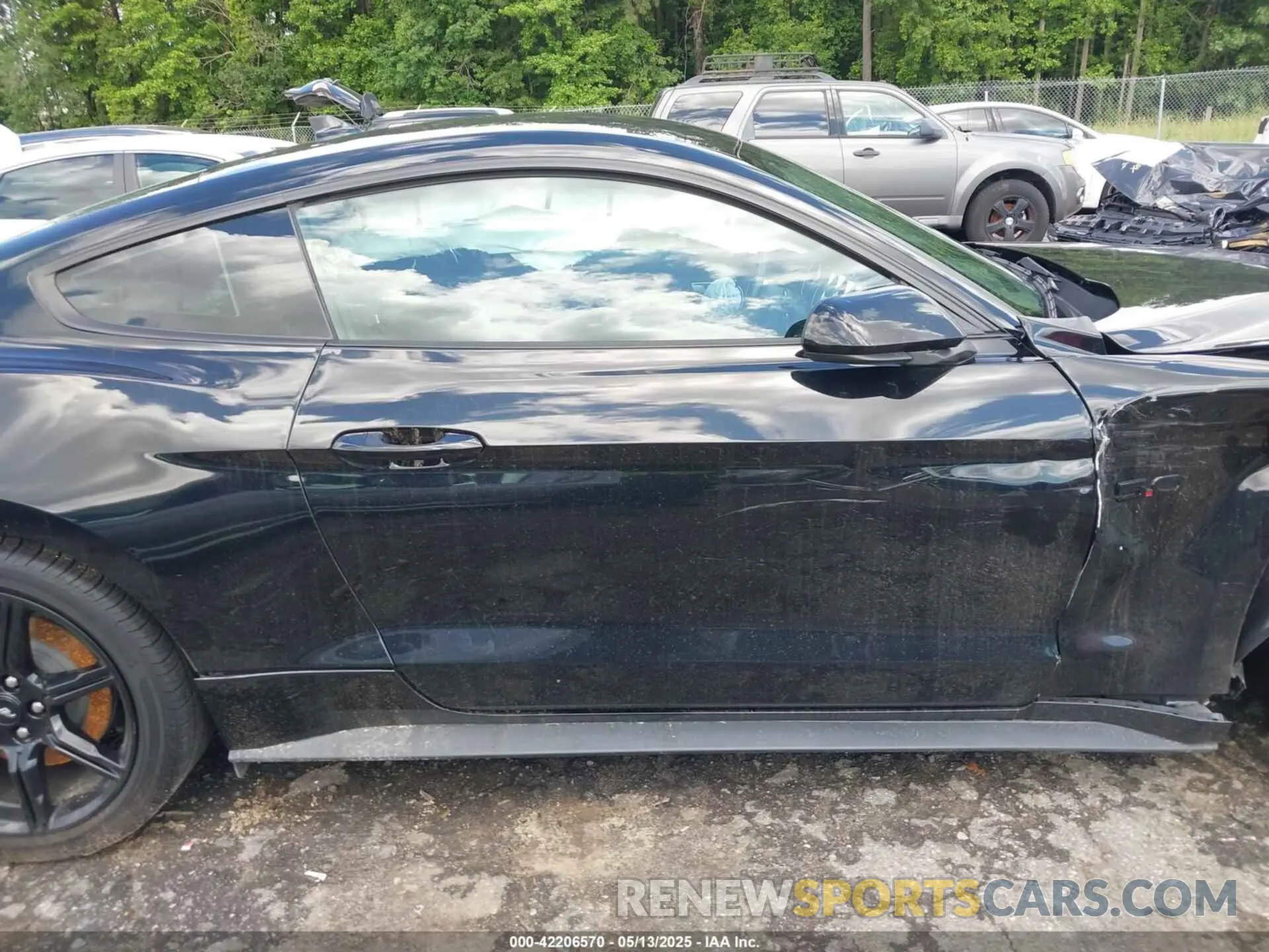 13 Photograph of a damaged car 1FA6P8CF3L5168510 FORD MUSTANG 2020