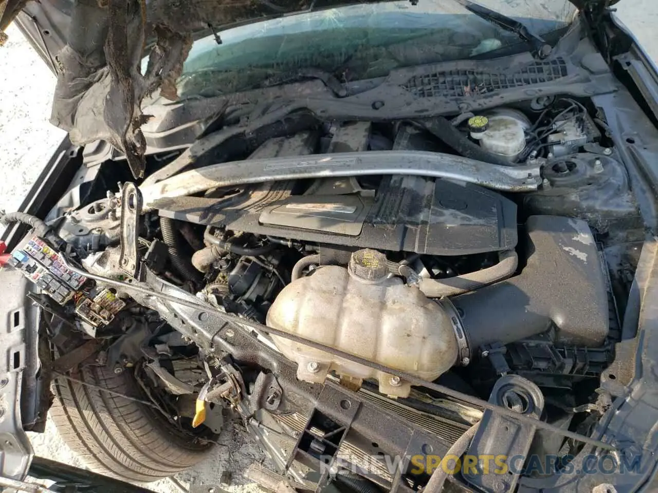 11 Photograph of a damaged car 1FA6P8CF4L5157581 FORD MUSTANG 2020