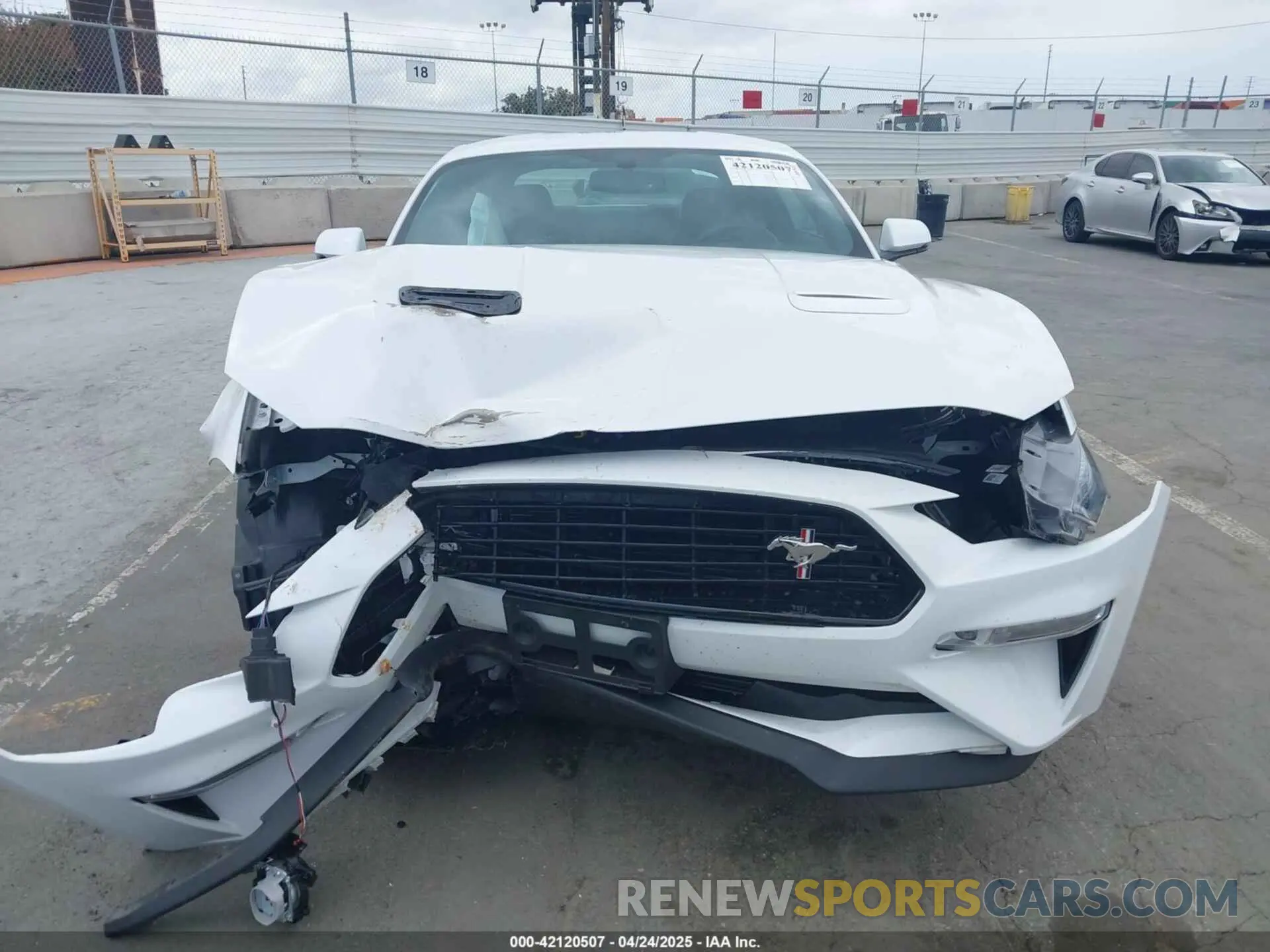 13 Photograph of a damaged car 1FA6P8CF4L5176793 FORD MUSTANG 2020