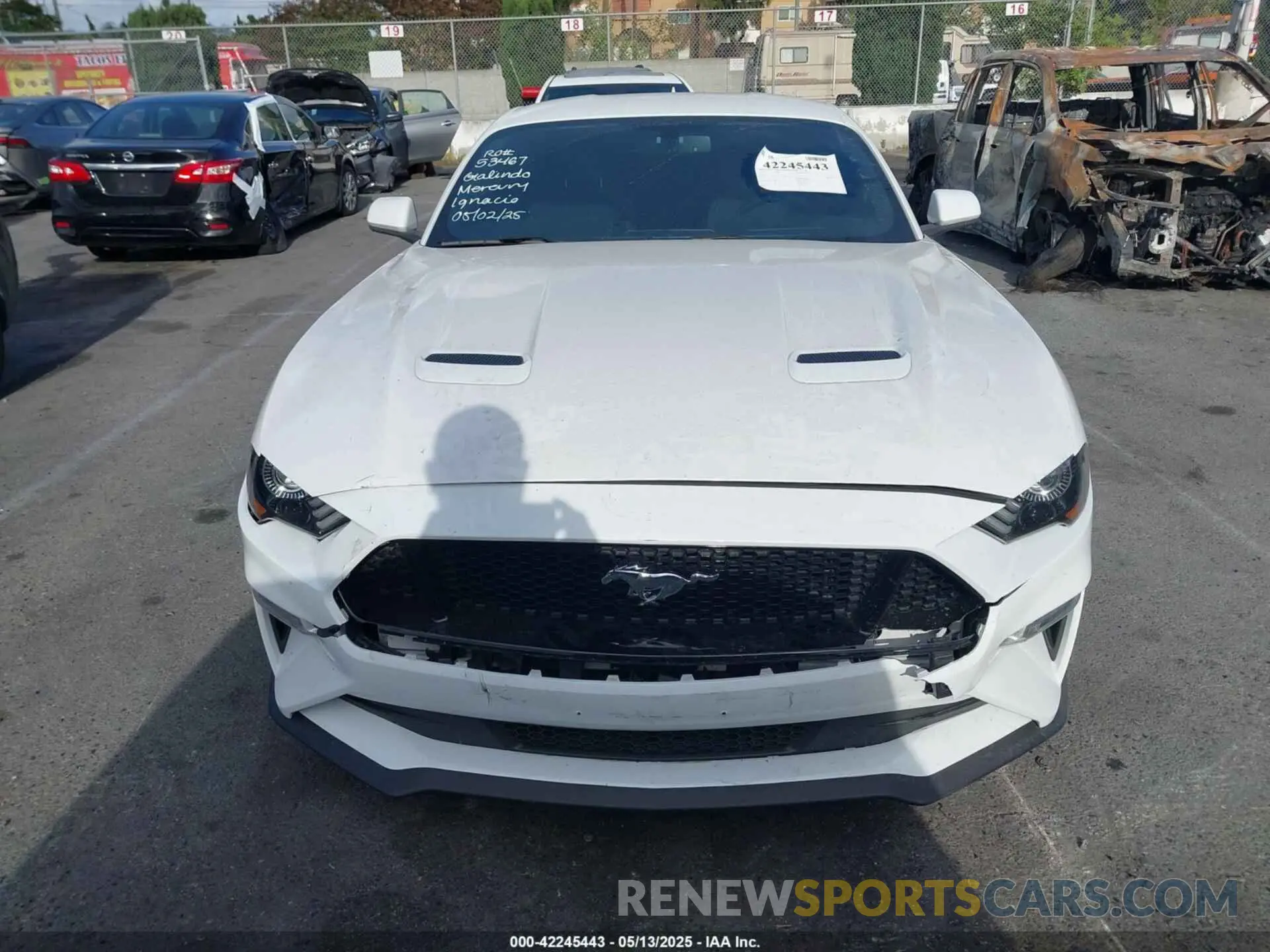 12 Photograph of a damaged car 1FA6P8CF4L5191133 FORD MUSTANG 2020
