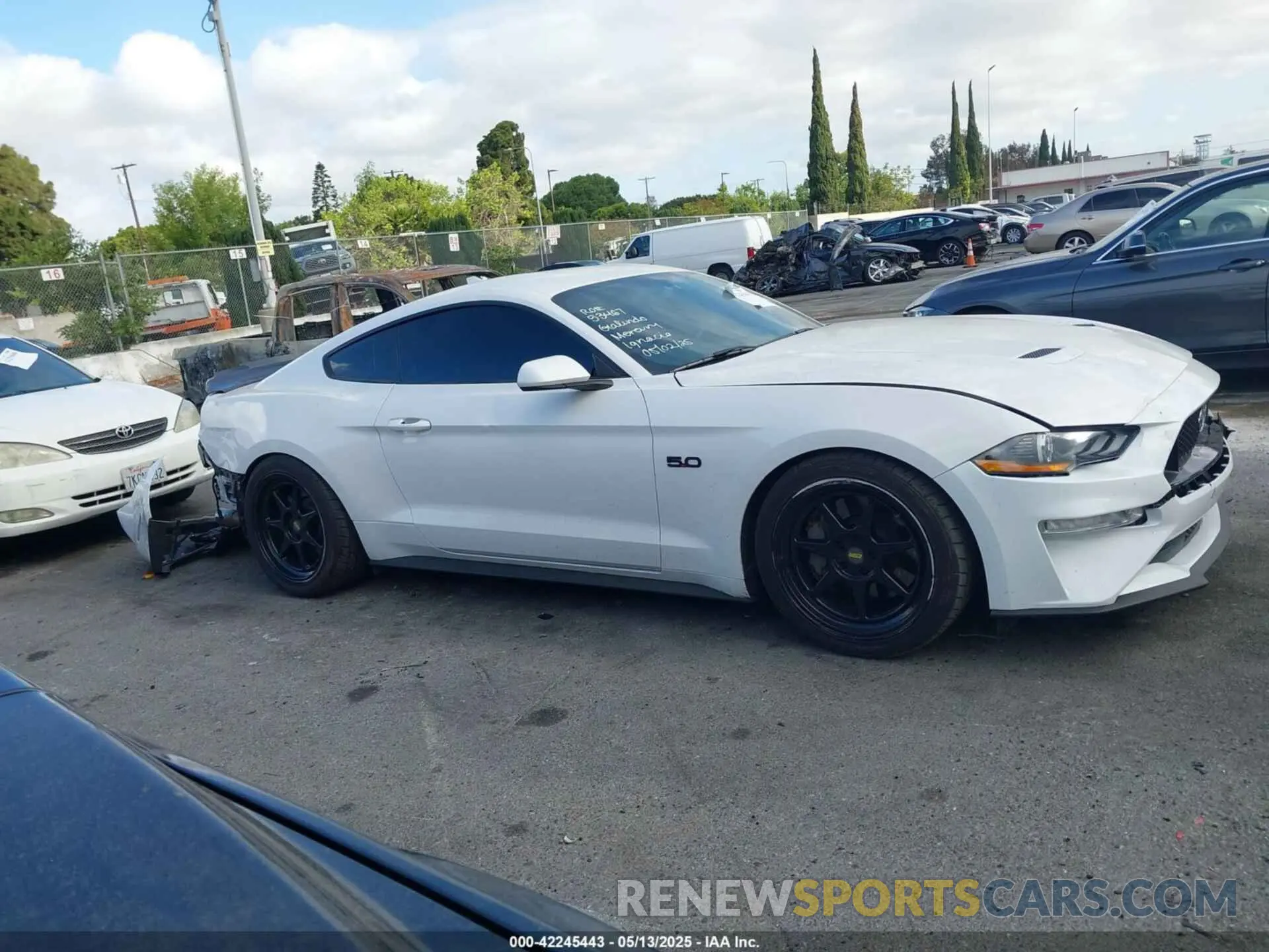 13 Photograph of a damaged car 1FA6P8CF4L5191133 FORD MUSTANG 2020