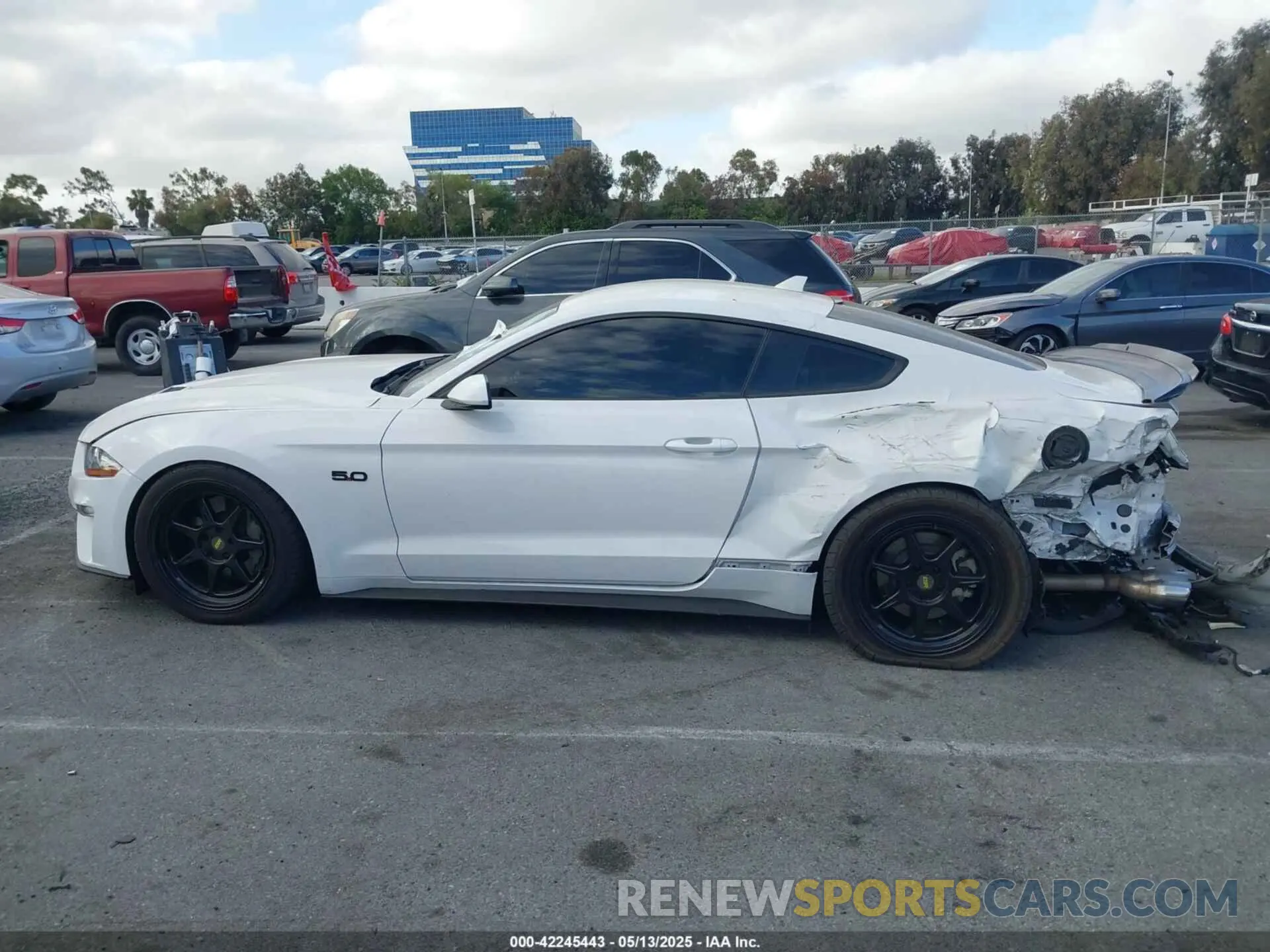 14 Photograph of a damaged car 1FA6P8CF4L5191133 FORD MUSTANG 2020