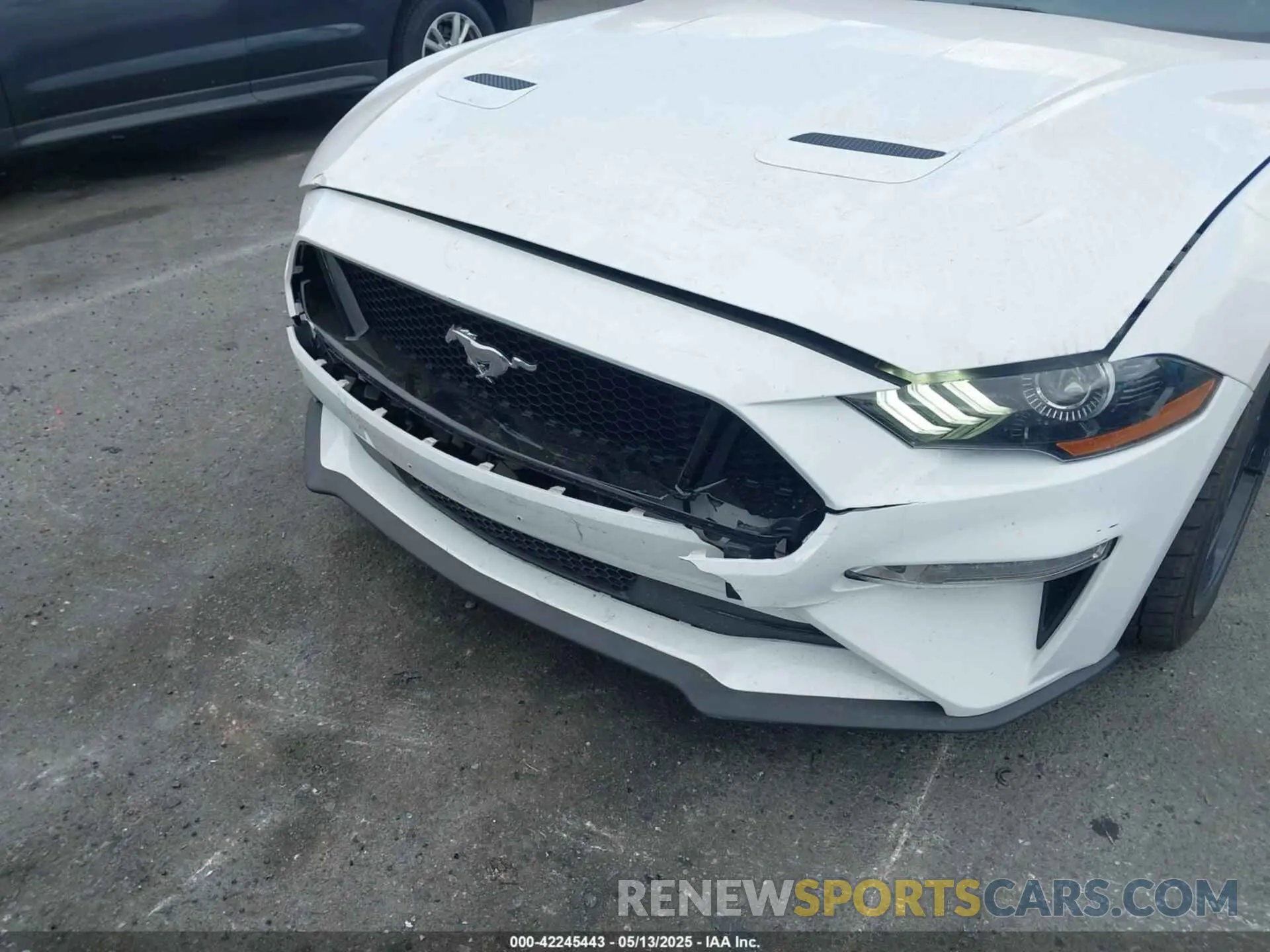 17 Photograph of a damaged car 1FA6P8CF4L5191133 FORD MUSTANG 2020