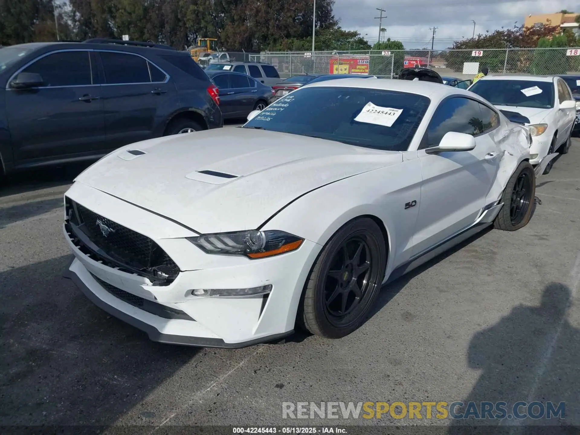 2 Photograph of a damaged car 1FA6P8CF4L5191133 FORD MUSTANG 2020
