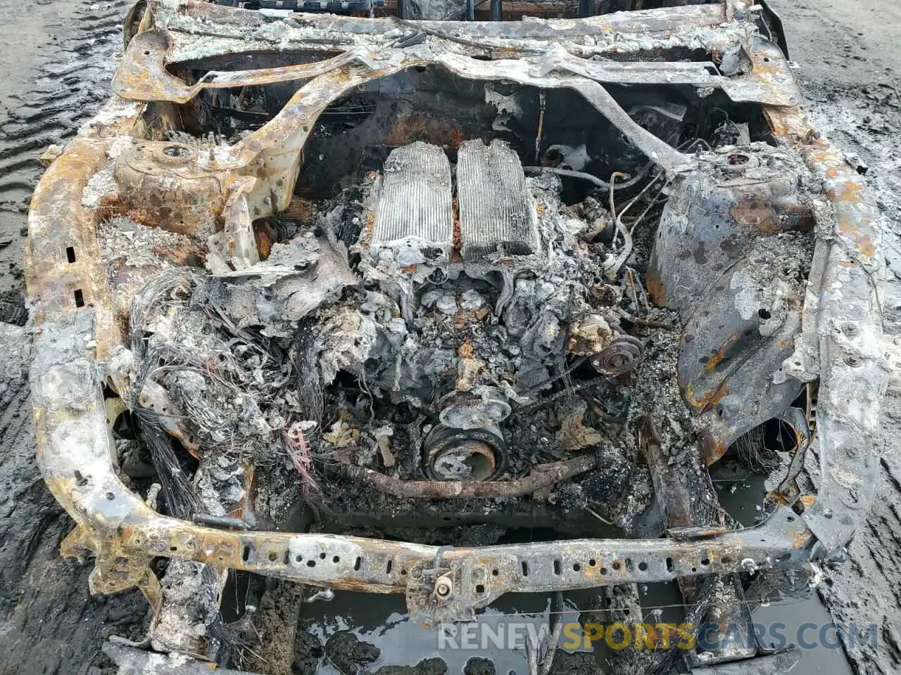 11 Photograph of a damaged car 1FA6P8CF6L5173491 FORD MUSTANG 2020