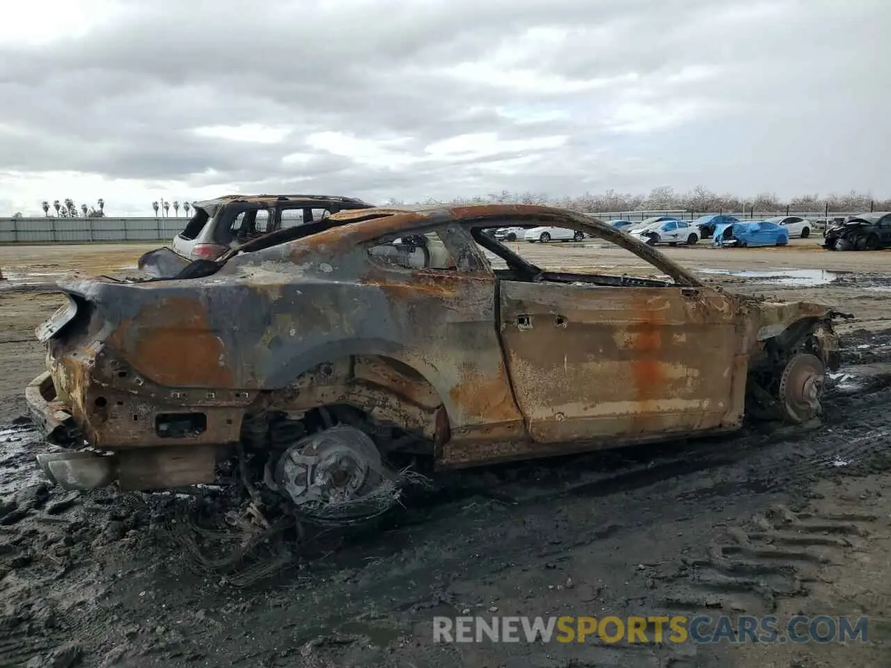 3 Photograph of a damaged car 1FA6P8CF6L5173491 FORD MUSTANG 2020