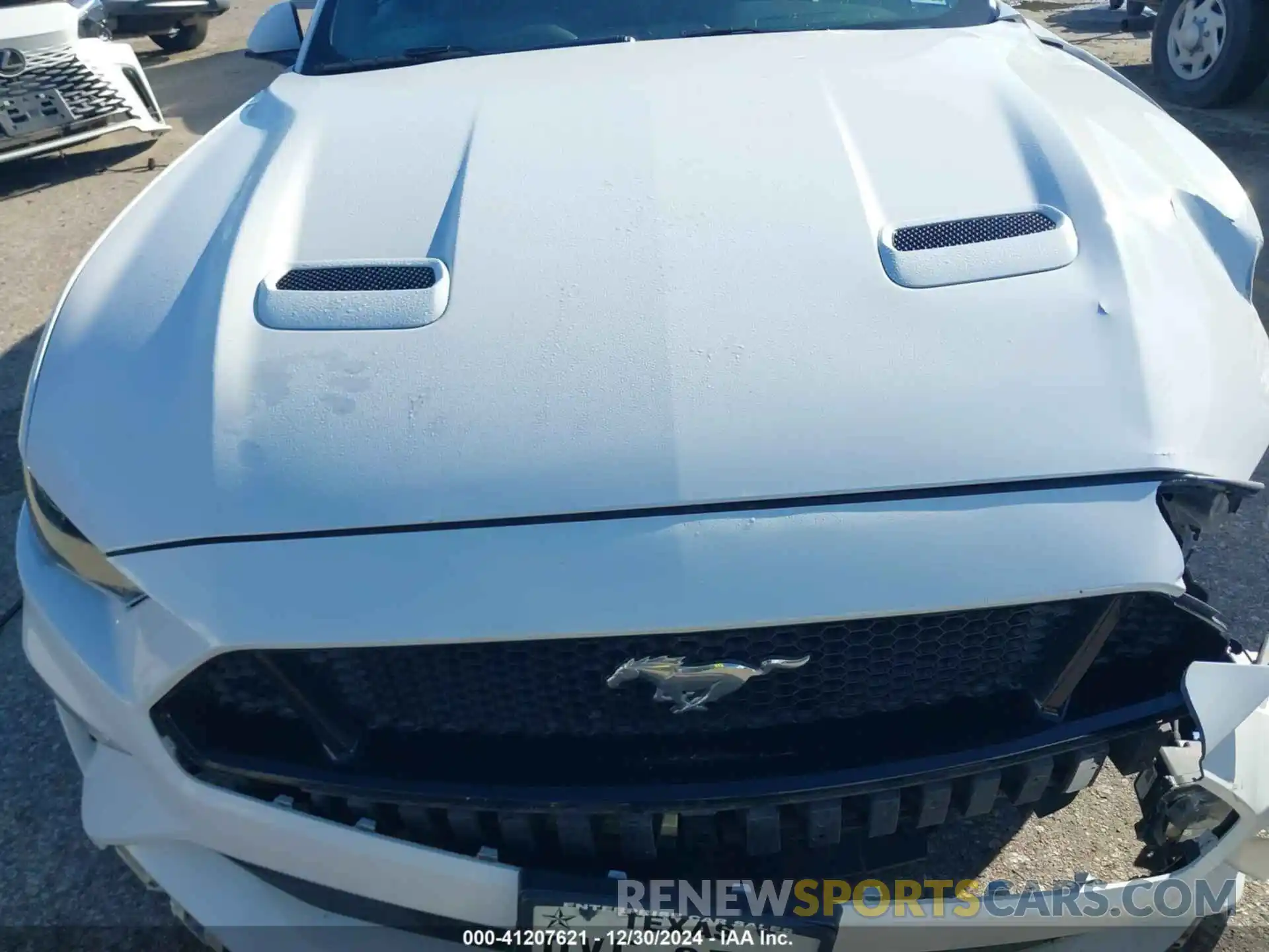 12 Photograph of a damaged car 1FA6P8CF7L5130312 FORD MUSTANG 2020