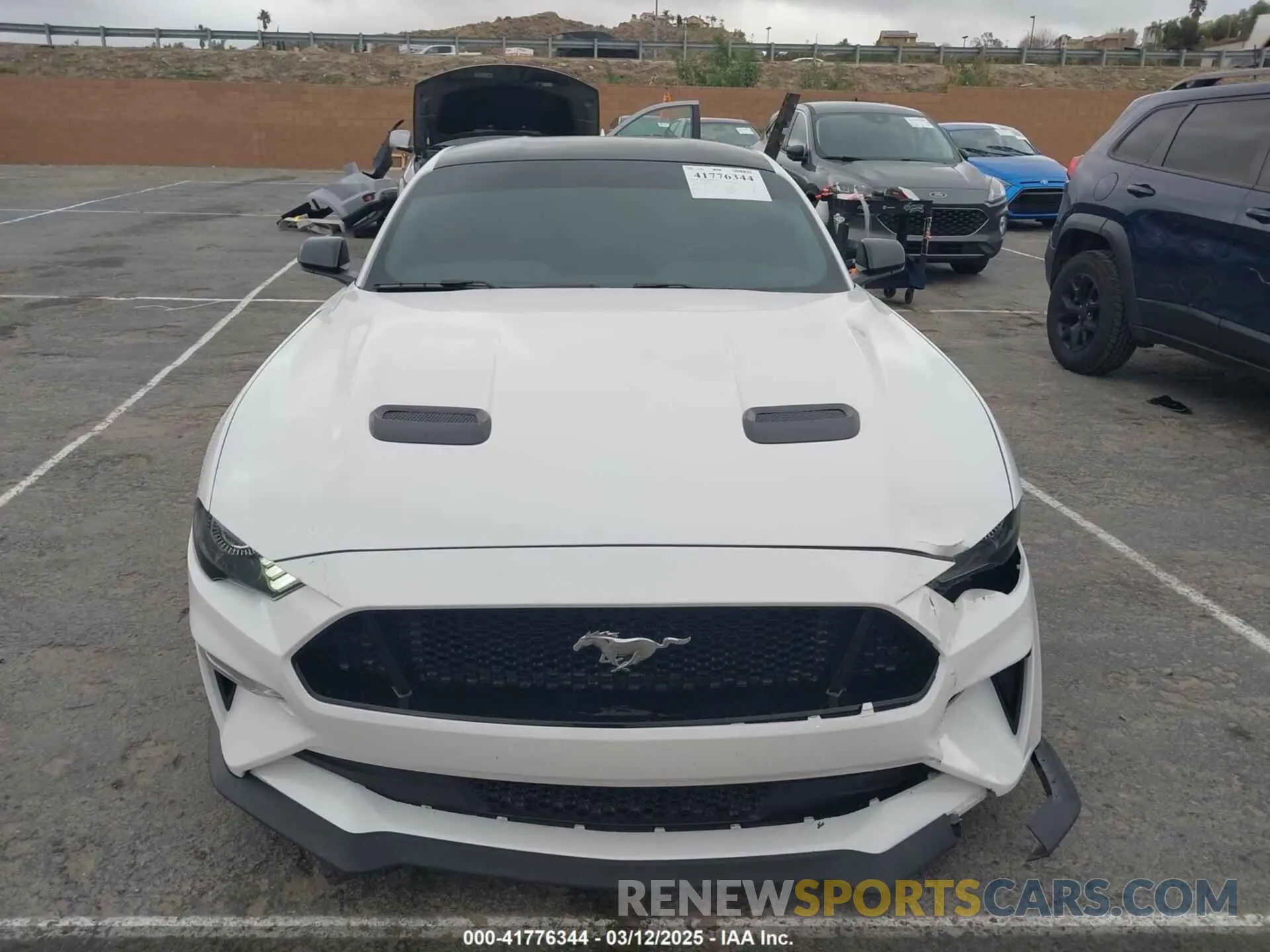 12 Photograph of a damaged car 1FA6P8CF7L5181745 FORD MUSTANG 2020
