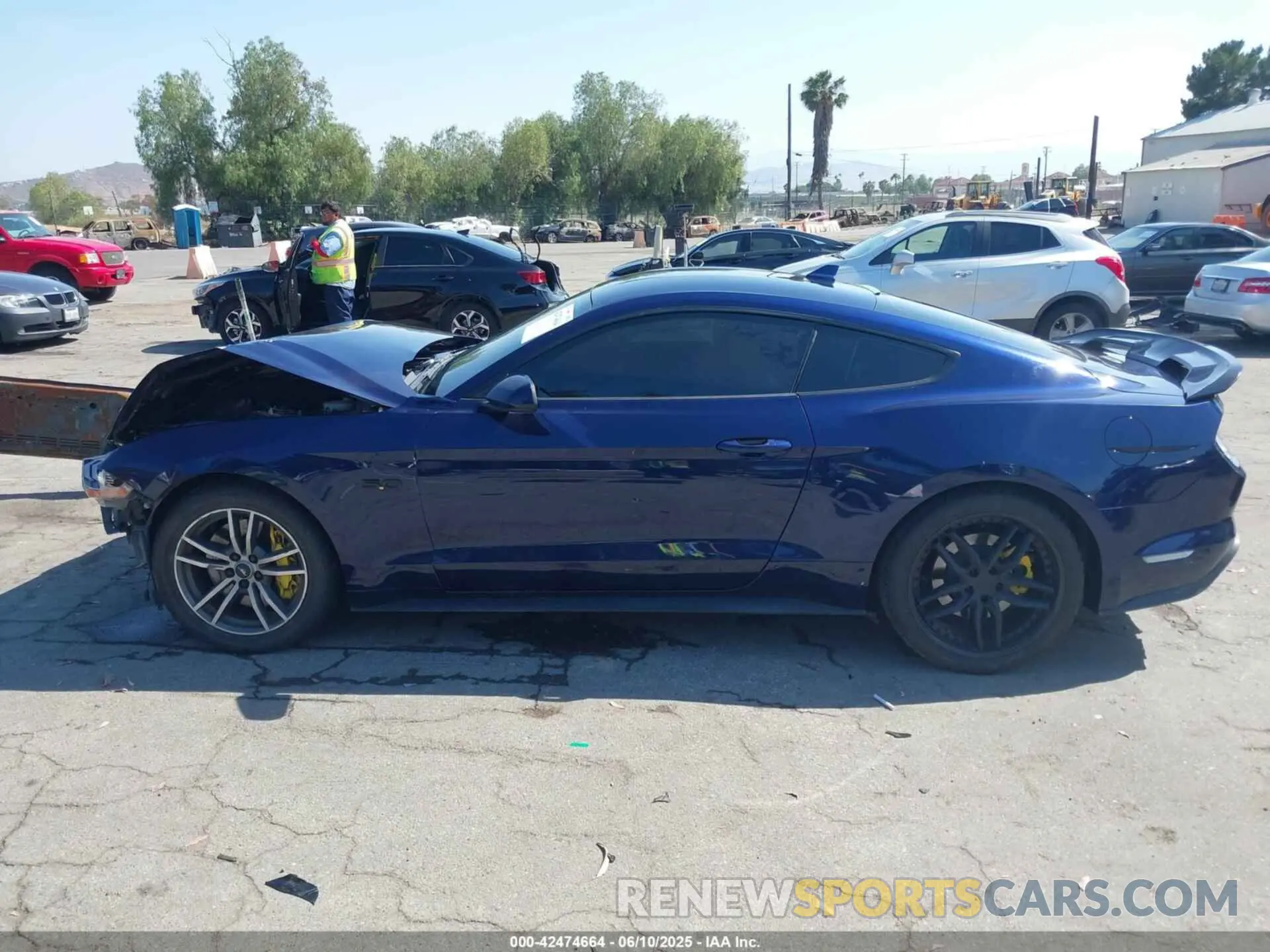 14 Photograph of a damaged car 1FA6P8CF7L5189263 FORD MUSTANG 2020