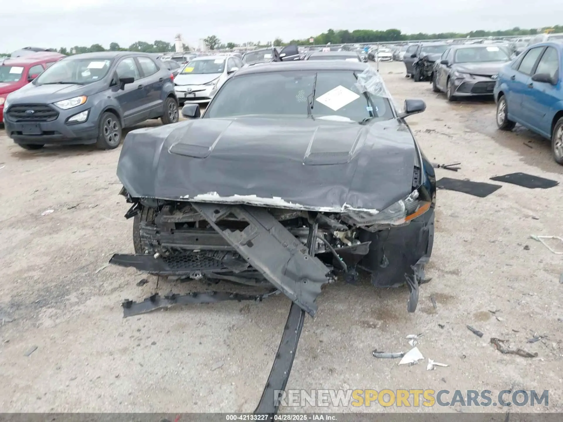 12 Photograph of a damaged car 1FA6P8CF8L5124454 FORD MUSTANG 2020