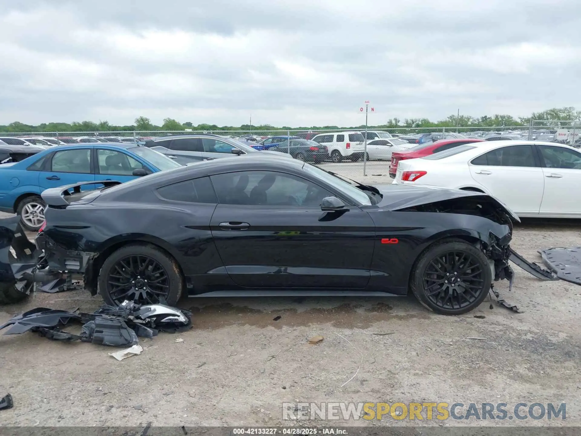 13 Photograph of a damaged car 1FA6P8CF8L5124454 FORD MUSTANG 2020