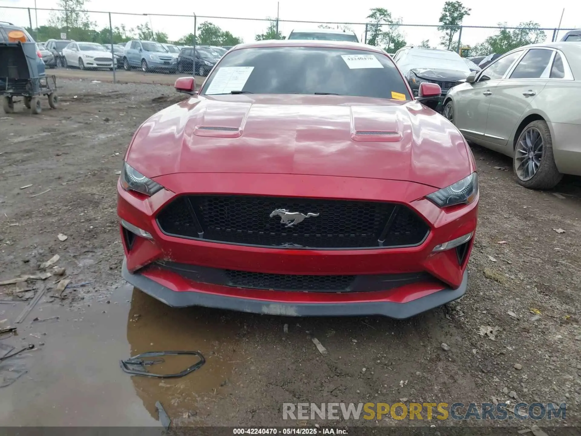 12 Photograph of a damaged car 1FA6P8CF9L5169550 FORD MUSTANG 2020