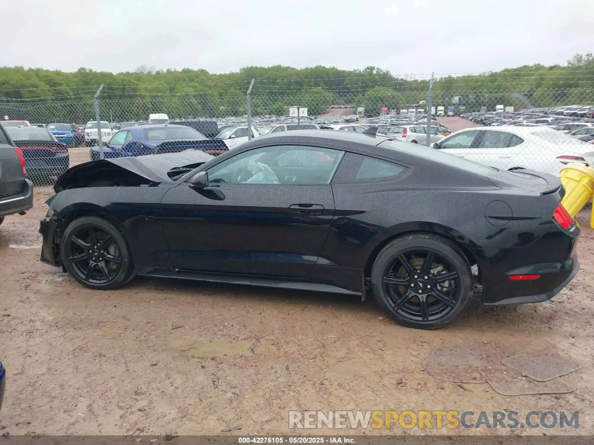 14 Photograph of a damaged car 1FA6P8CFXL5158685 FORD MUSTANG 2020