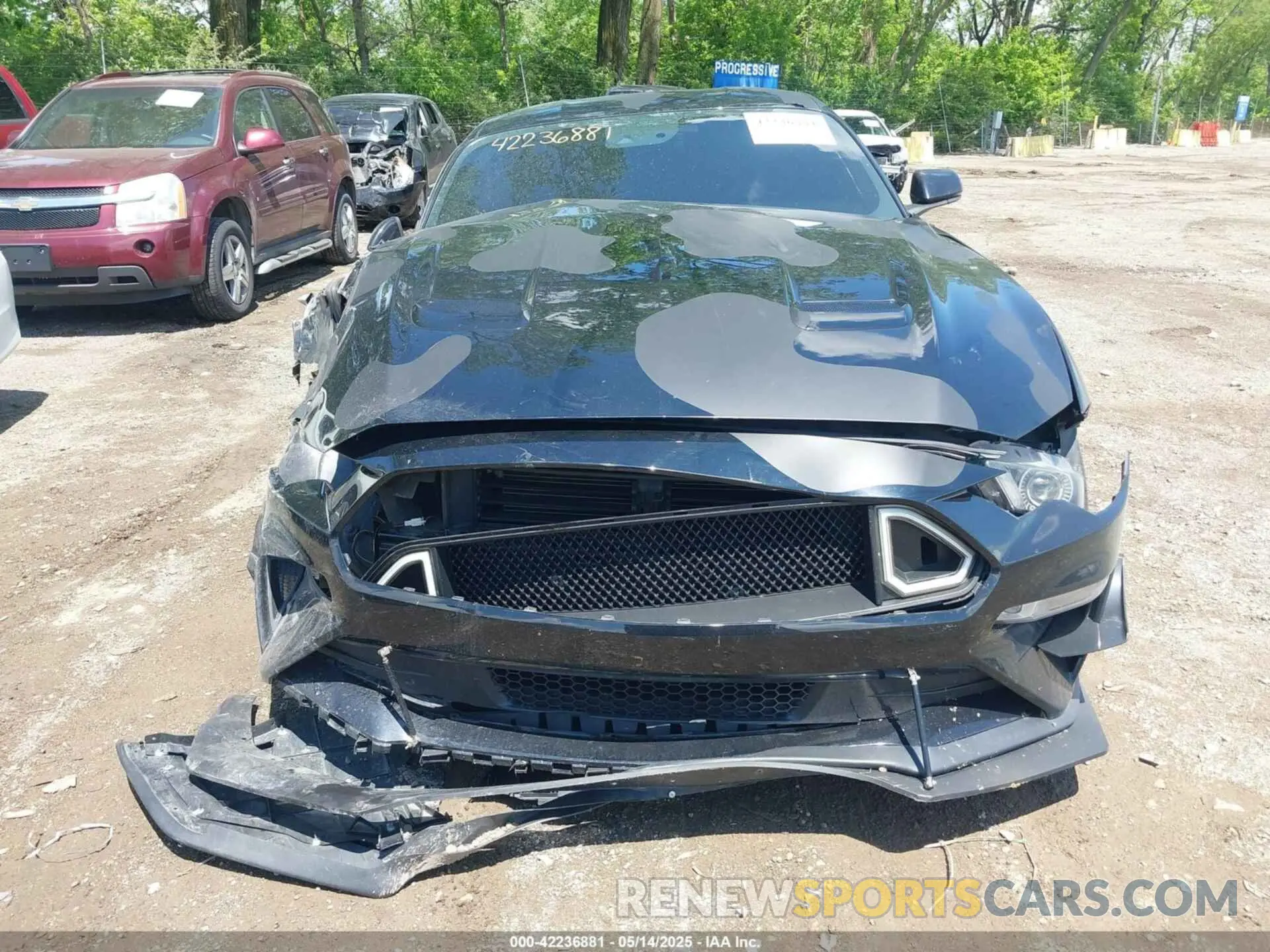13 Photograph of a damaged car 1FA6P8CFXL5175681 FORD MUSTANG 2020
