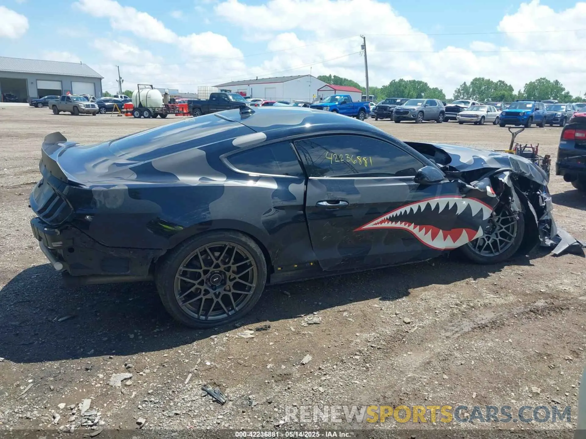 14 Photograph of a damaged car 1FA6P8CFXL5175681 FORD MUSTANG 2020