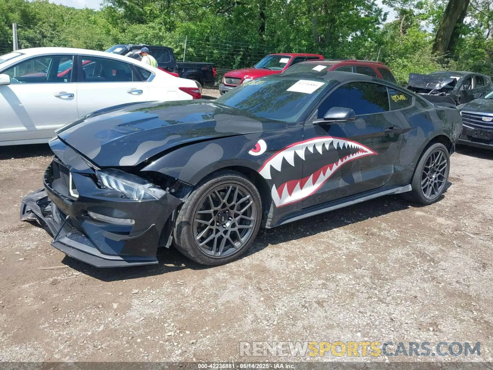 2 Photograph of a damaged car 1FA6P8CFXL5175681 FORD MUSTANG 2020