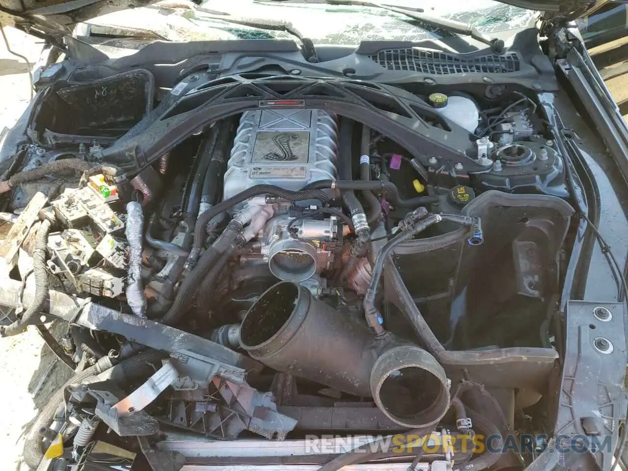 11 Photograph of a damaged car 1FA6P8SJ1L5502183 FORD MUSTANG 2020
