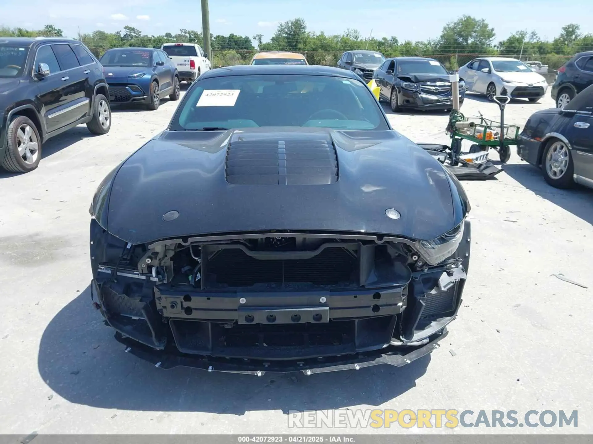 13 Photograph of a damaged car 1FA6P8SJ3L5502668 FORD MUSTANG 2020