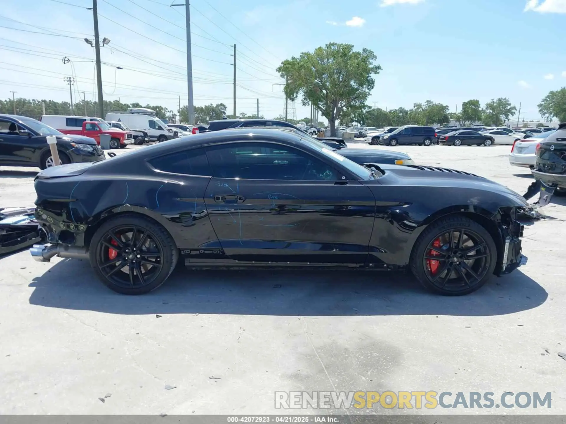 14 Photograph of a damaged car 1FA6P8SJ3L5502668 FORD MUSTANG 2020