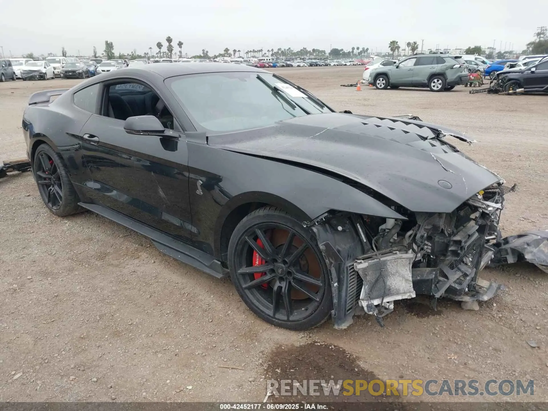 1 Photograph of a damaged car 1FA6P8SJ4L5503988 FORD MUSTANG 2020