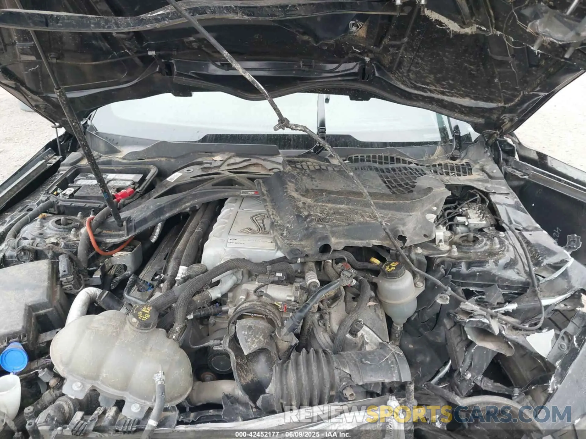 10 Photograph of a damaged car 1FA6P8SJ4L5503988 FORD MUSTANG 2020