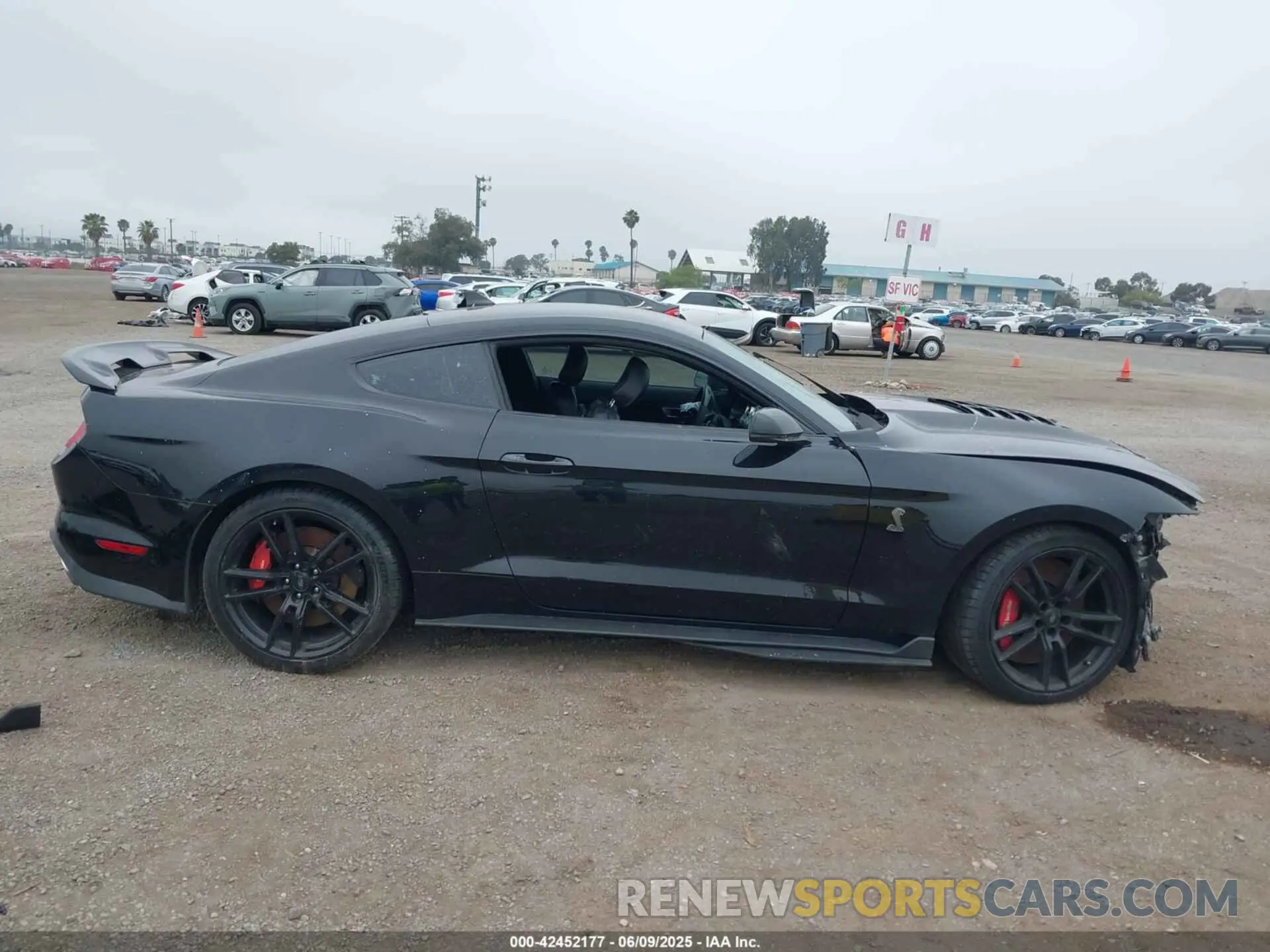 13 Photograph of a damaged car 1FA6P8SJ4L5503988 FORD MUSTANG 2020