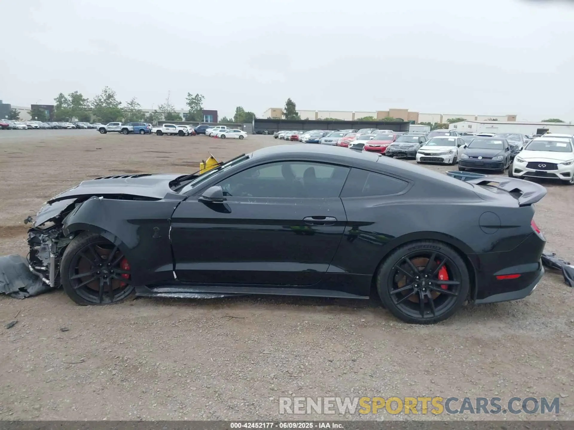 14 Photograph of a damaged car 1FA6P8SJ4L5503988 FORD MUSTANG 2020