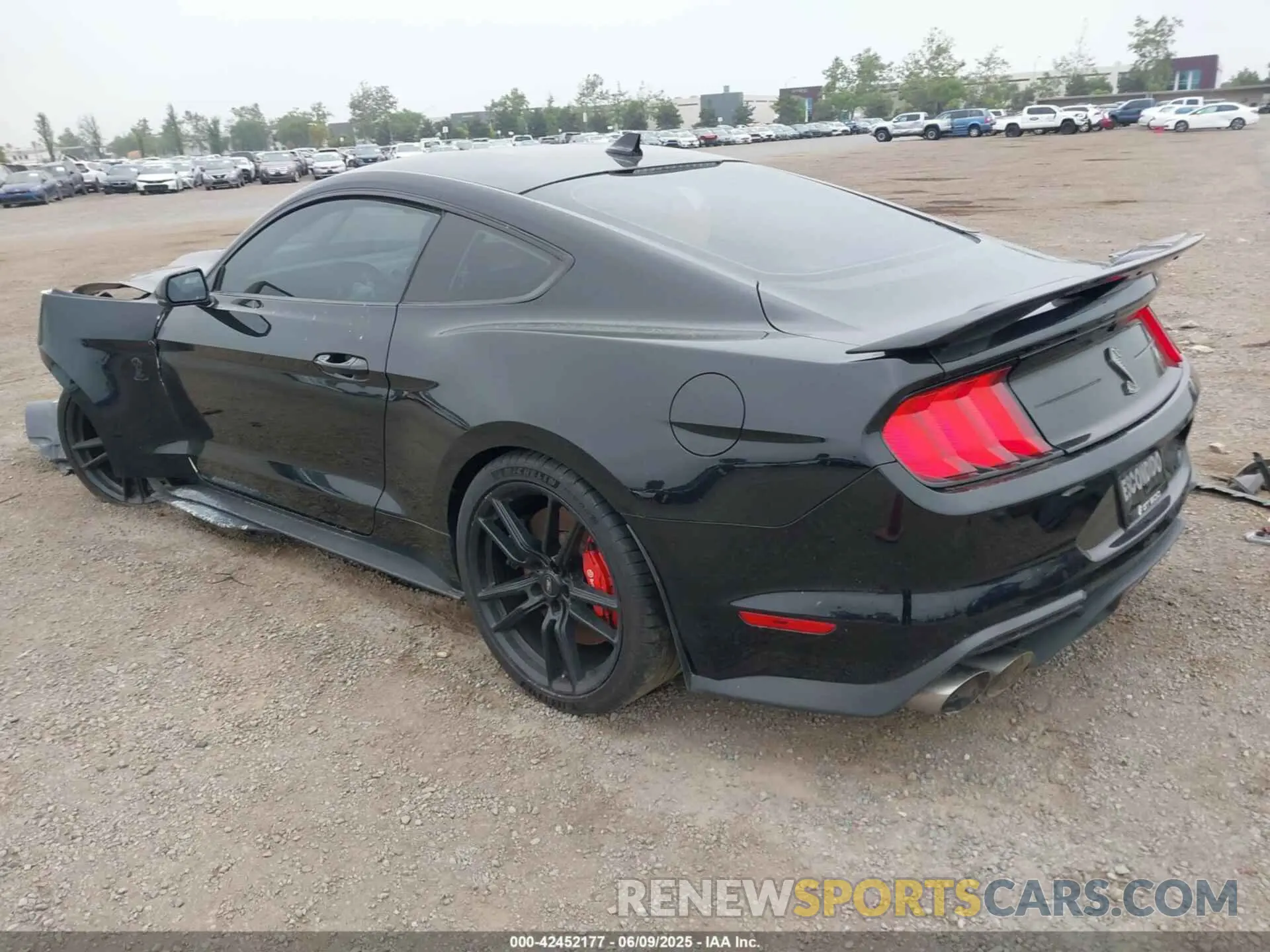 3 Photograph of a damaged car 1FA6P8SJ4L5503988 FORD MUSTANG 2020