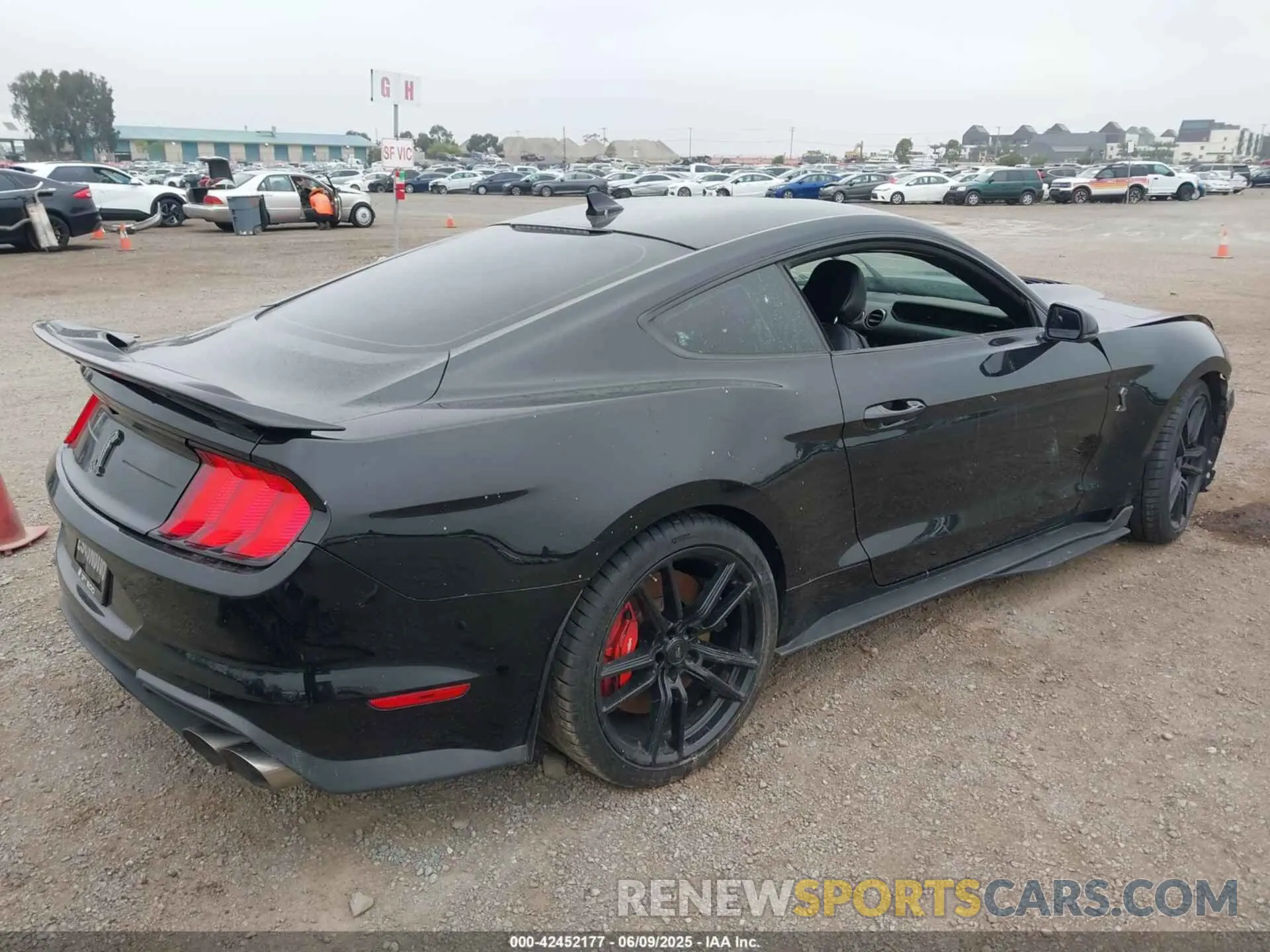 4 Photograph of a damaged car 1FA6P8SJ4L5503988 FORD MUSTANG 2020