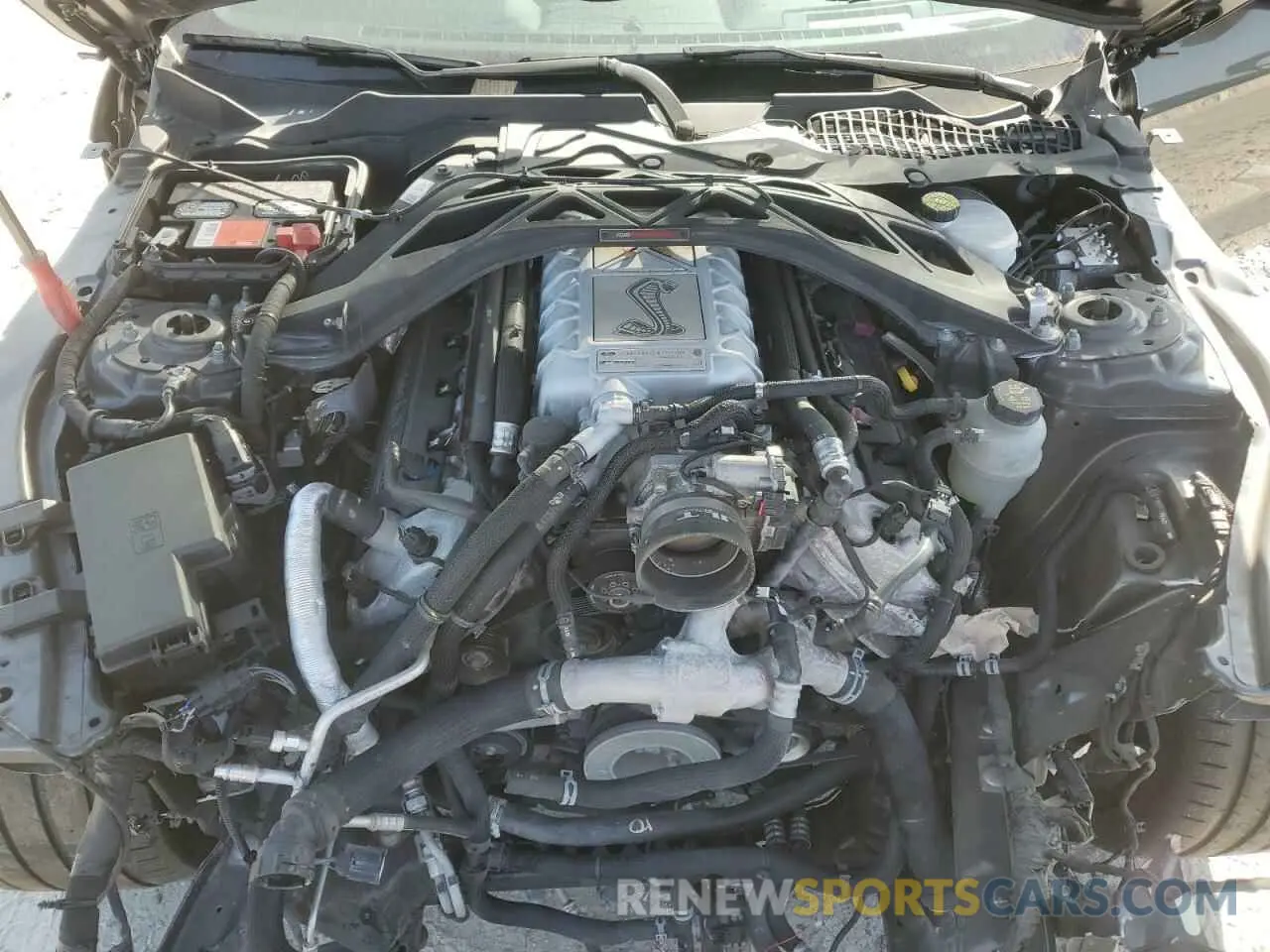 11 Photograph of a damaged car 1FA6P8SJXL5504191 FORD MUSTANG 2020