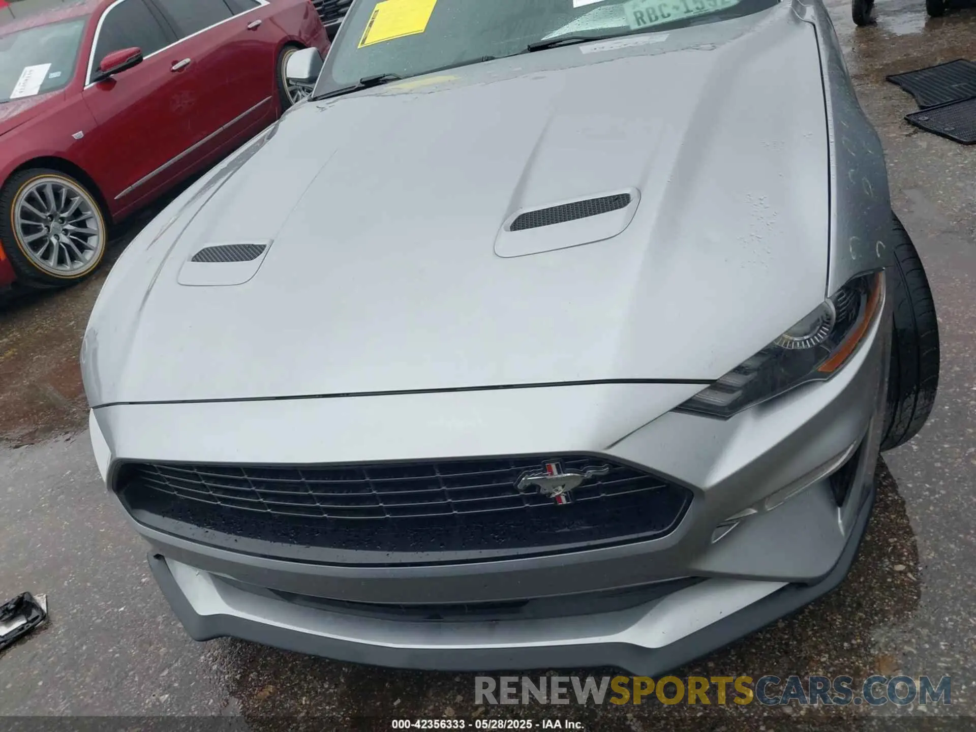 12 Photograph of a damaged car 1FA6P8TD8L5173121 FORD MUSTANG 2020