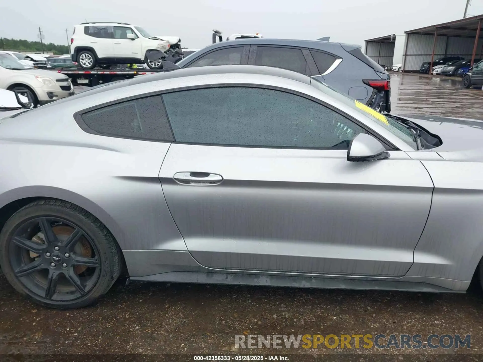 13 Photograph of a damaged car 1FA6P8TD8L5173121 FORD MUSTANG 2020