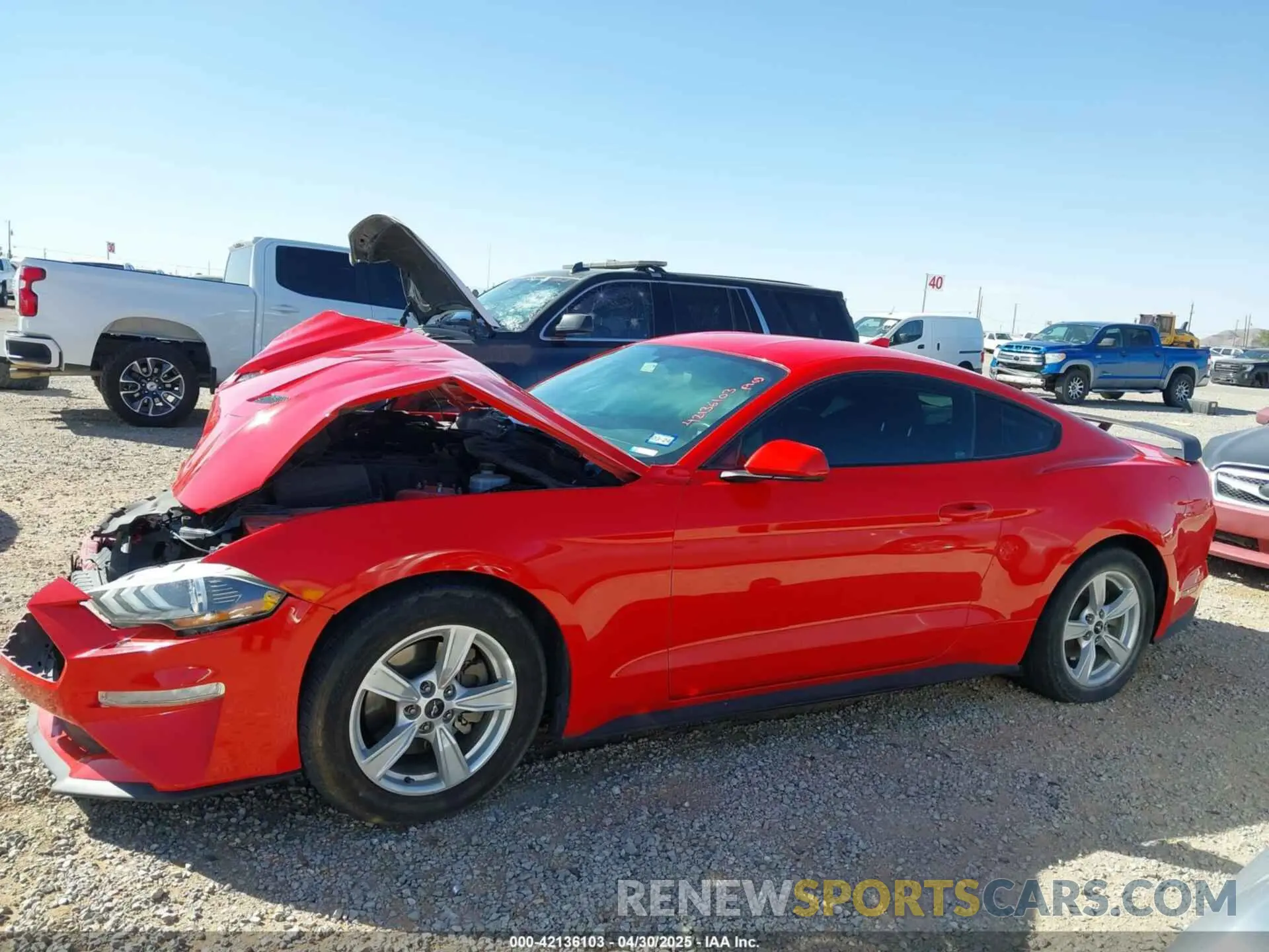13 Photograph of a damaged car 1FA6P8TH1L5146359 FORD MUSTANG 2020