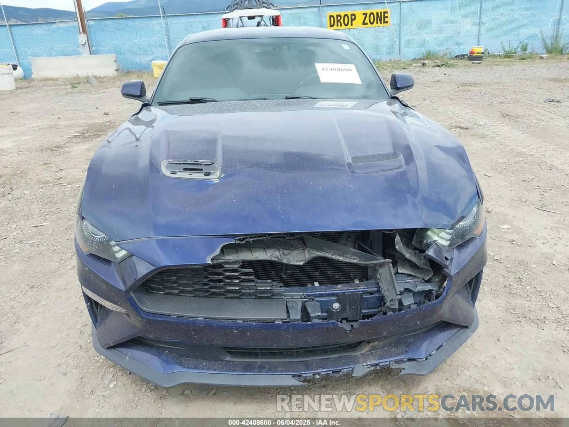 12 Photograph of a damaged car 1FA6P8TH1L5173531 FORD MUSTANG 2020