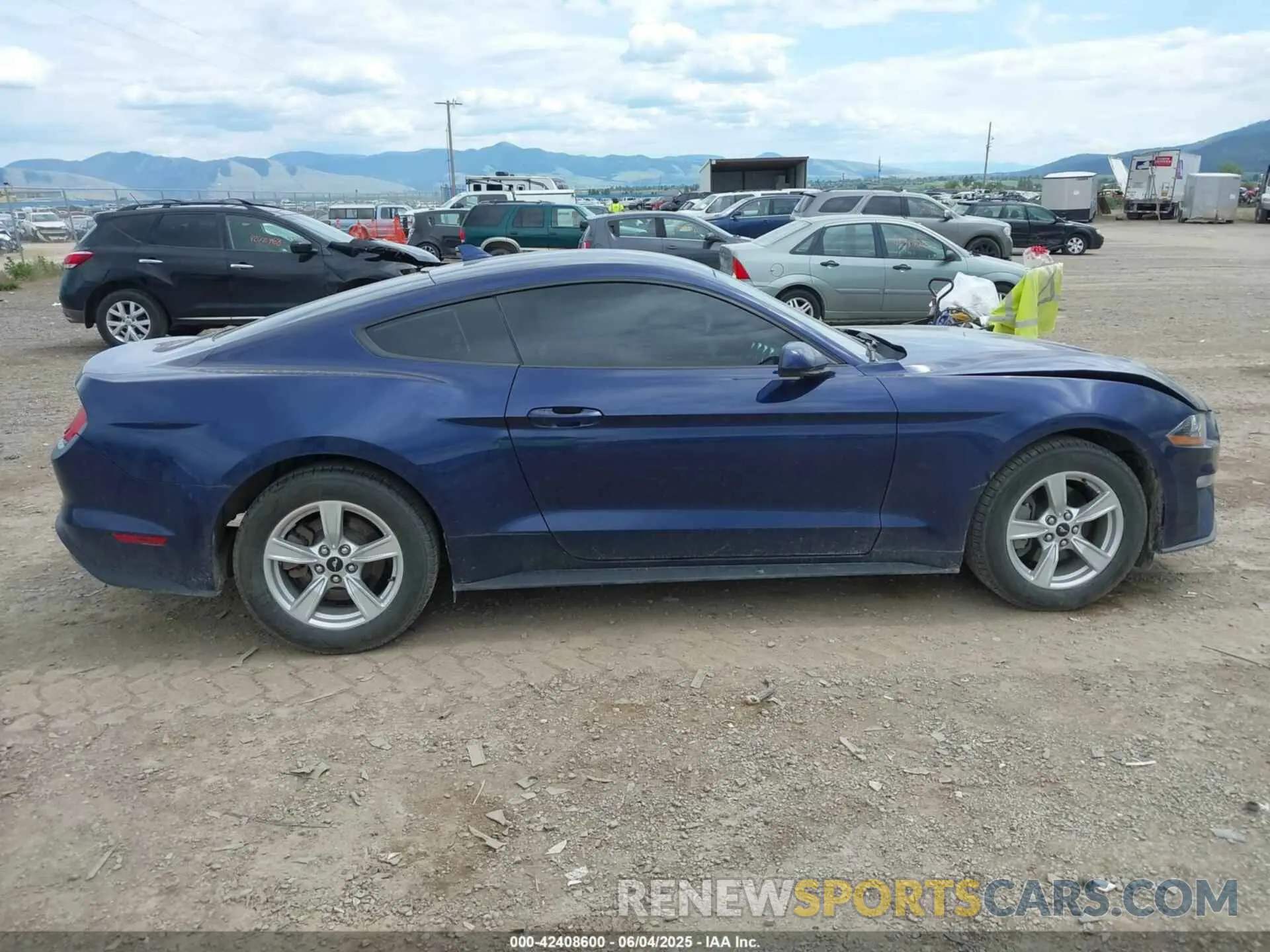 13 Photograph of a damaged car 1FA6P8TH1L5173531 FORD MUSTANG 2020