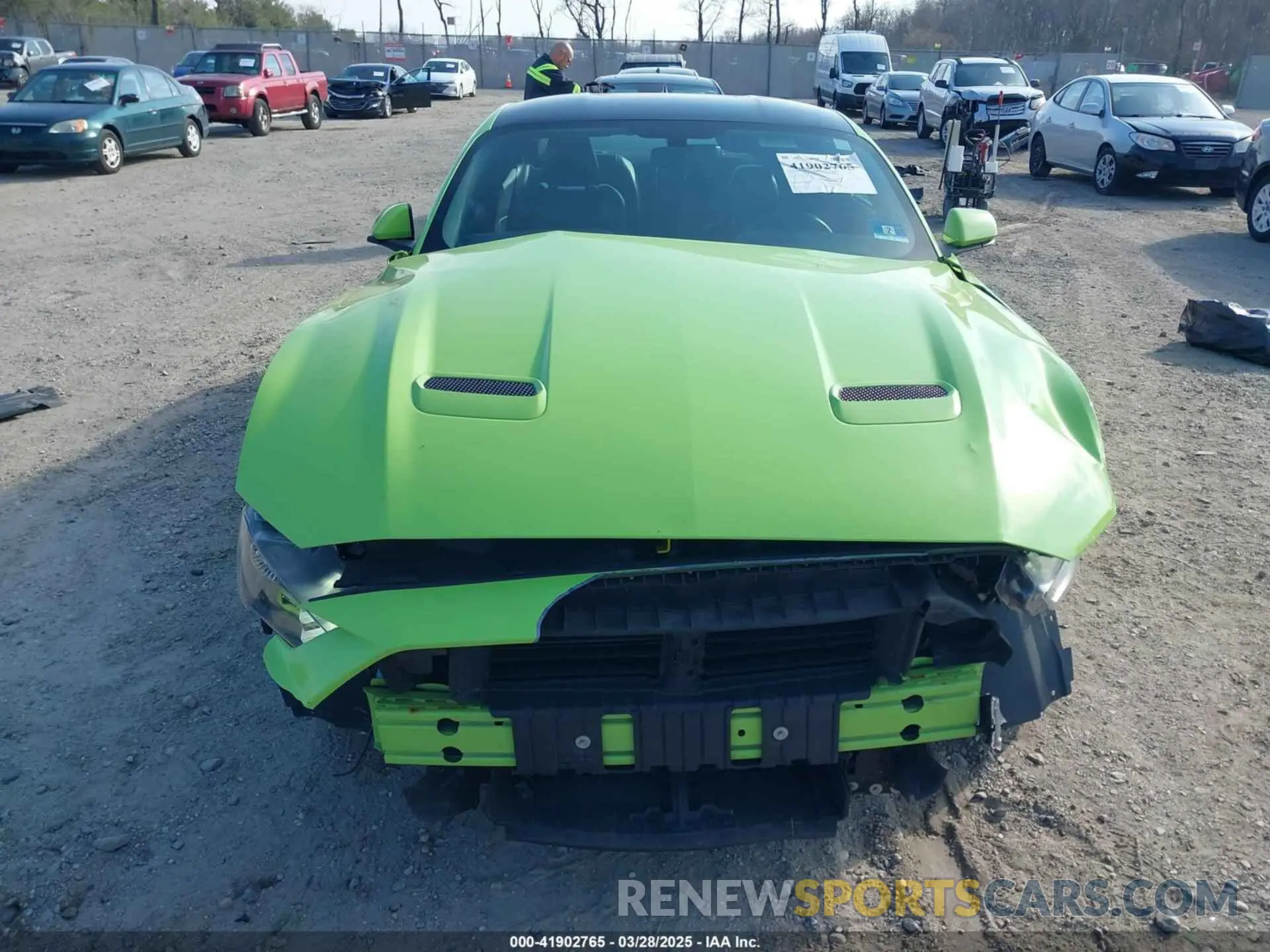 12 Photograph of a damaged car 1FA6P8TH1L5182312 FORD MUSTANG 2020