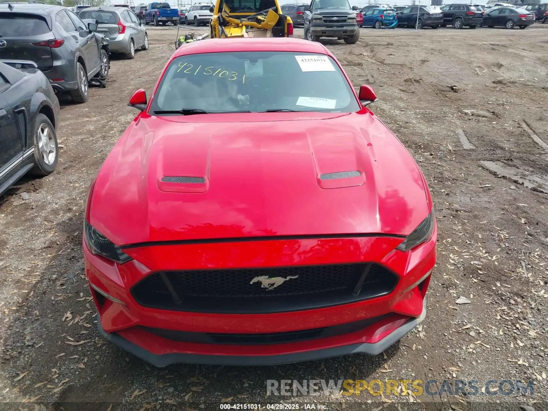 12 Photograph of a damaged car 1FA6P8TH2L5122958 FORD MUSTANG 2020
