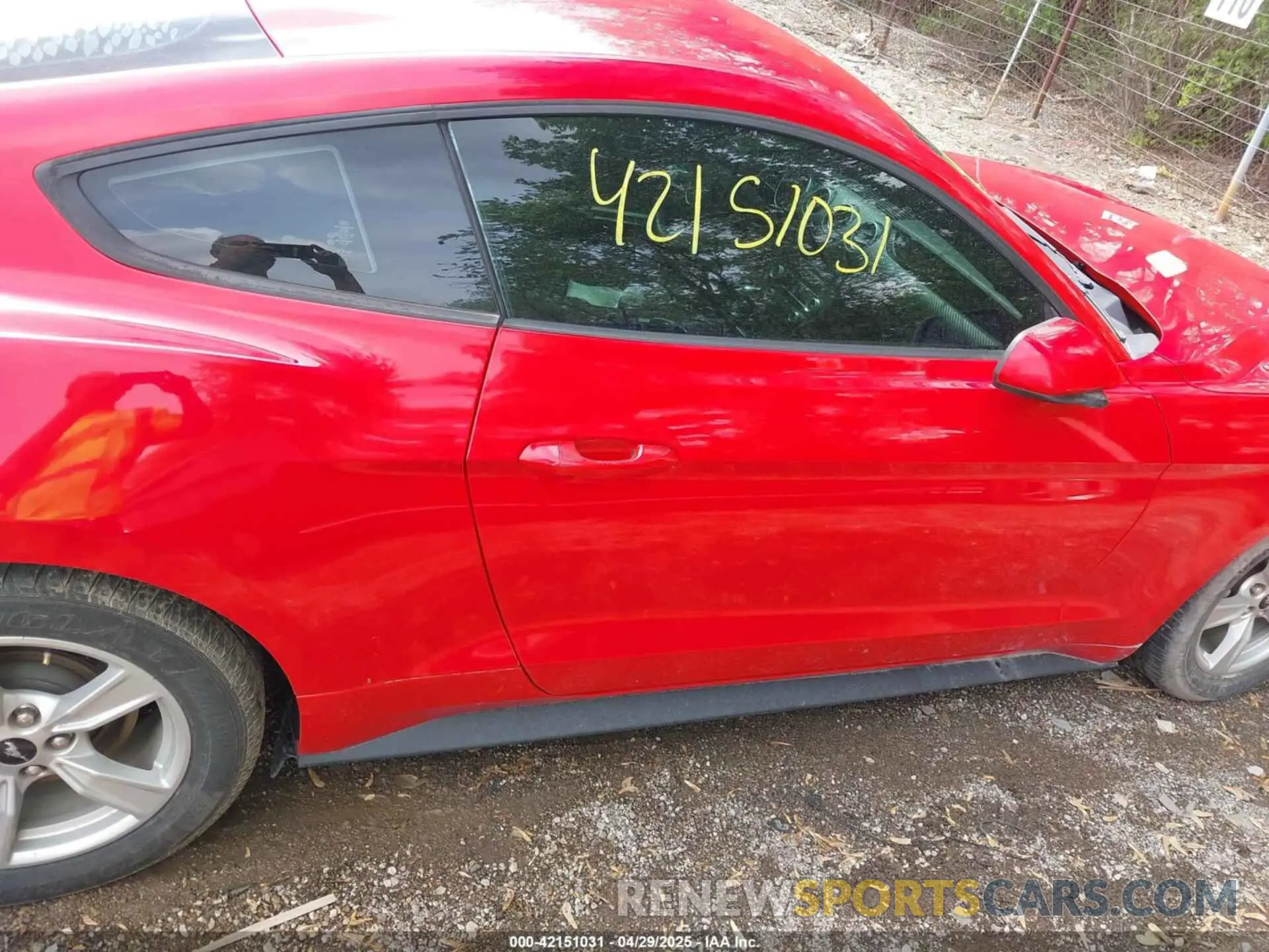 13 Photograph of a damaged car 1FA6P8TH2L5122958 FORD MUSTANG 2020