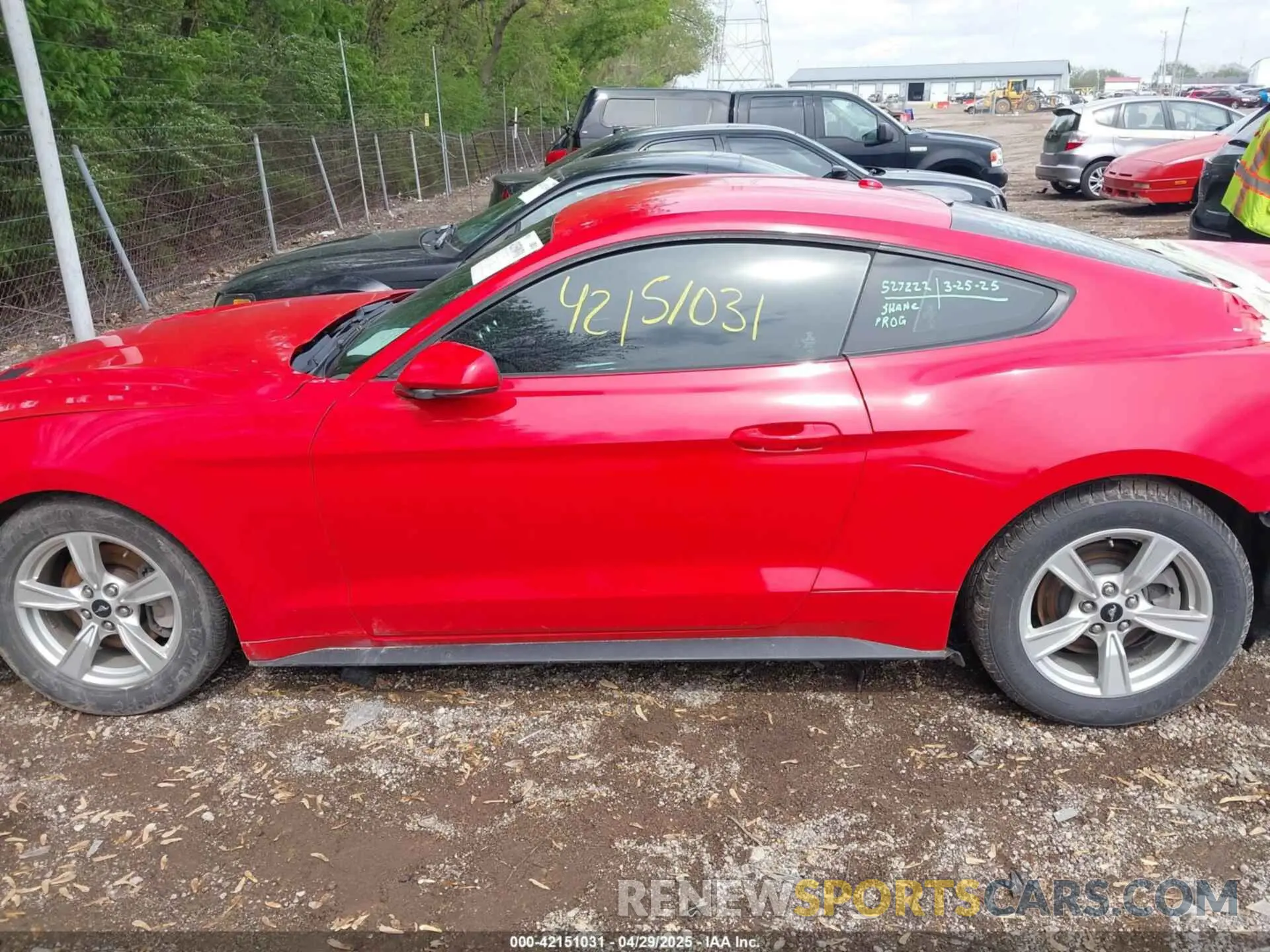 14 Photograph of a damaged car 1FA6P8TH2L5122958 FORD MUSTANG 2020