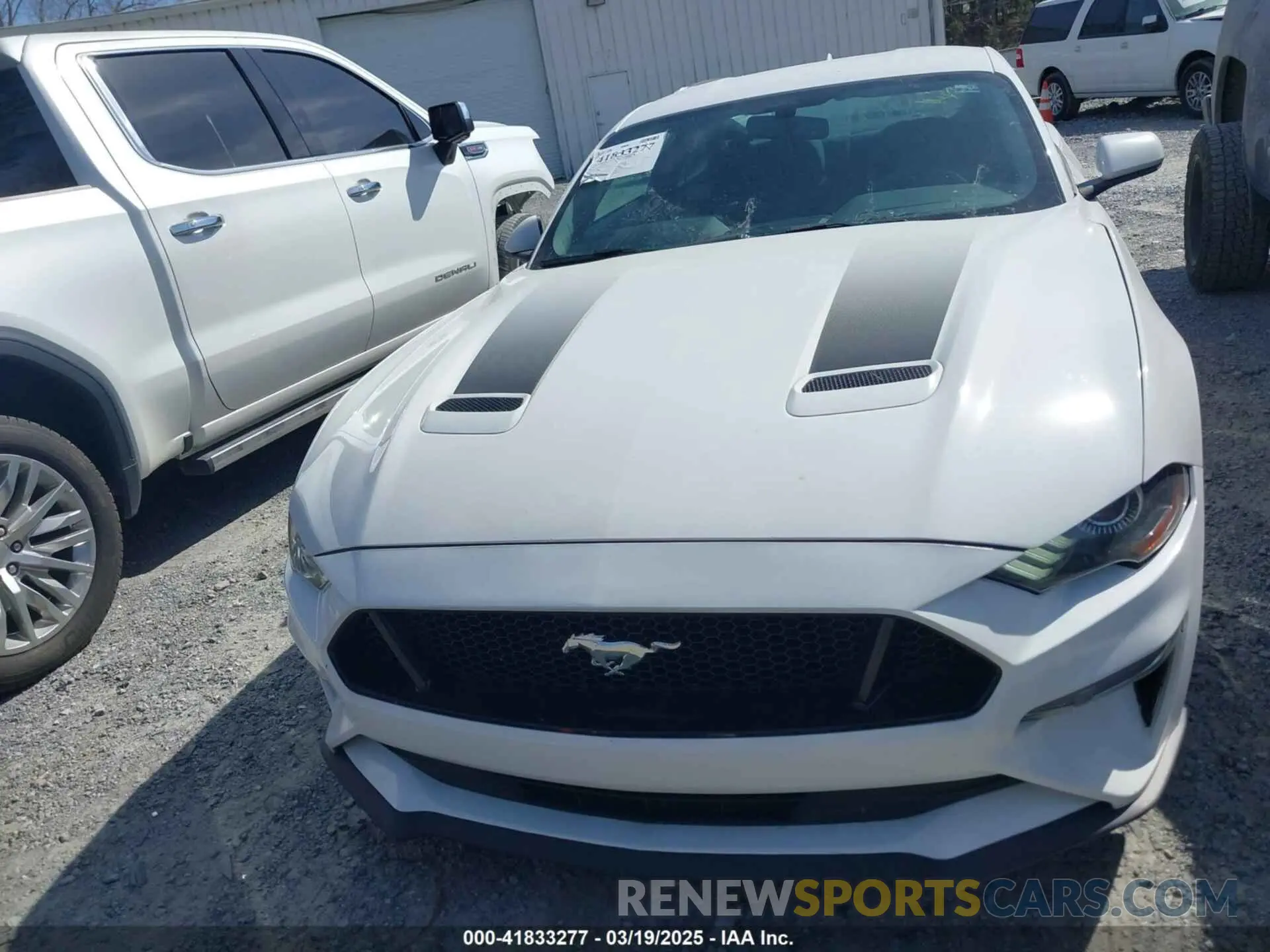12 Photograph of a damaged car 1FA6P8TH2L5149304 FORD MUSTANG 2020