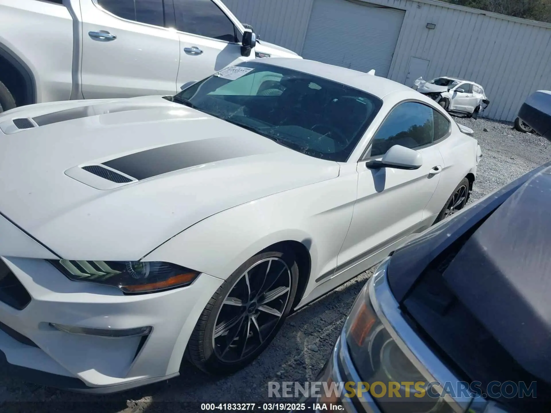 14 Photograph of a damaged car 1FA6P8TH2L5149304 FORD MUSTANG 2020