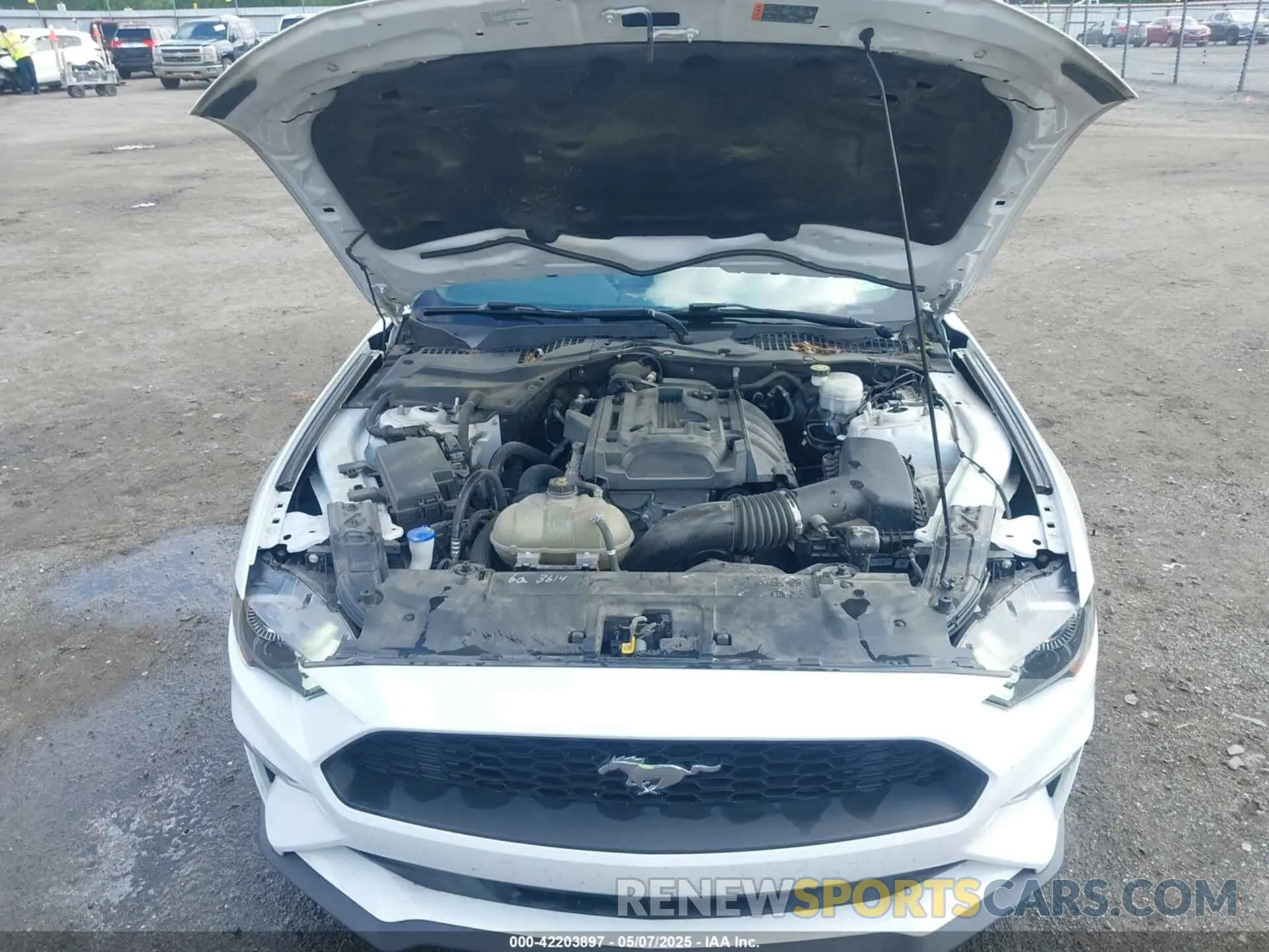 10 Photograph of a damaged car 1FA6P8TH2L5161856 FORD MUSTANG 2020