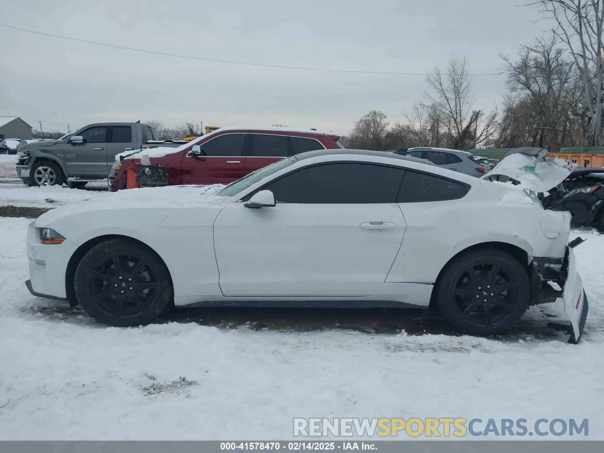 14 Photograph of a damaged car 1FA6P8TH2L5182142 FORD MUSTANG 2020