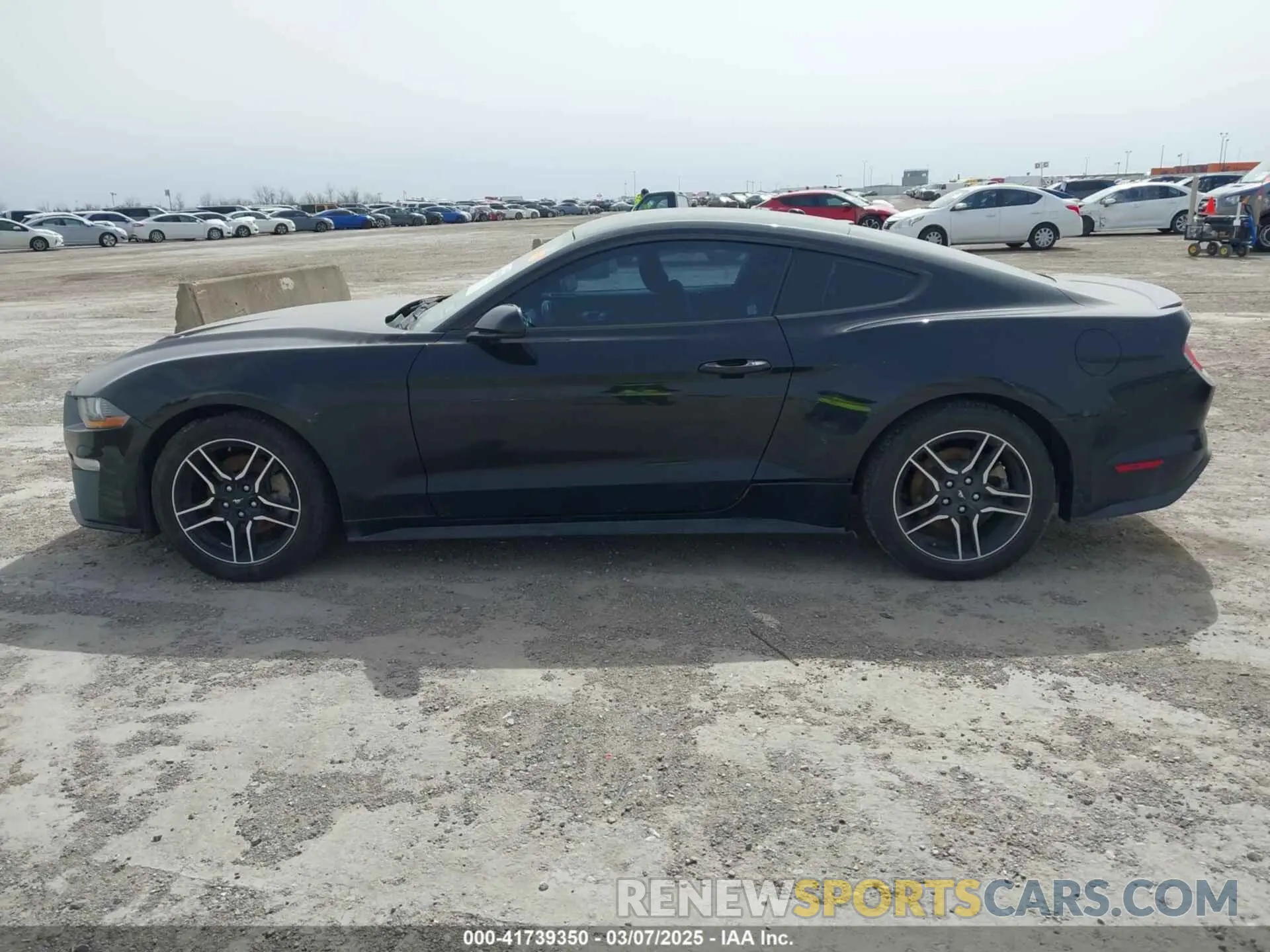 14 Photograph of a damaged car 1FA6P8TH3L5114920 FORD MUSTANG 2020