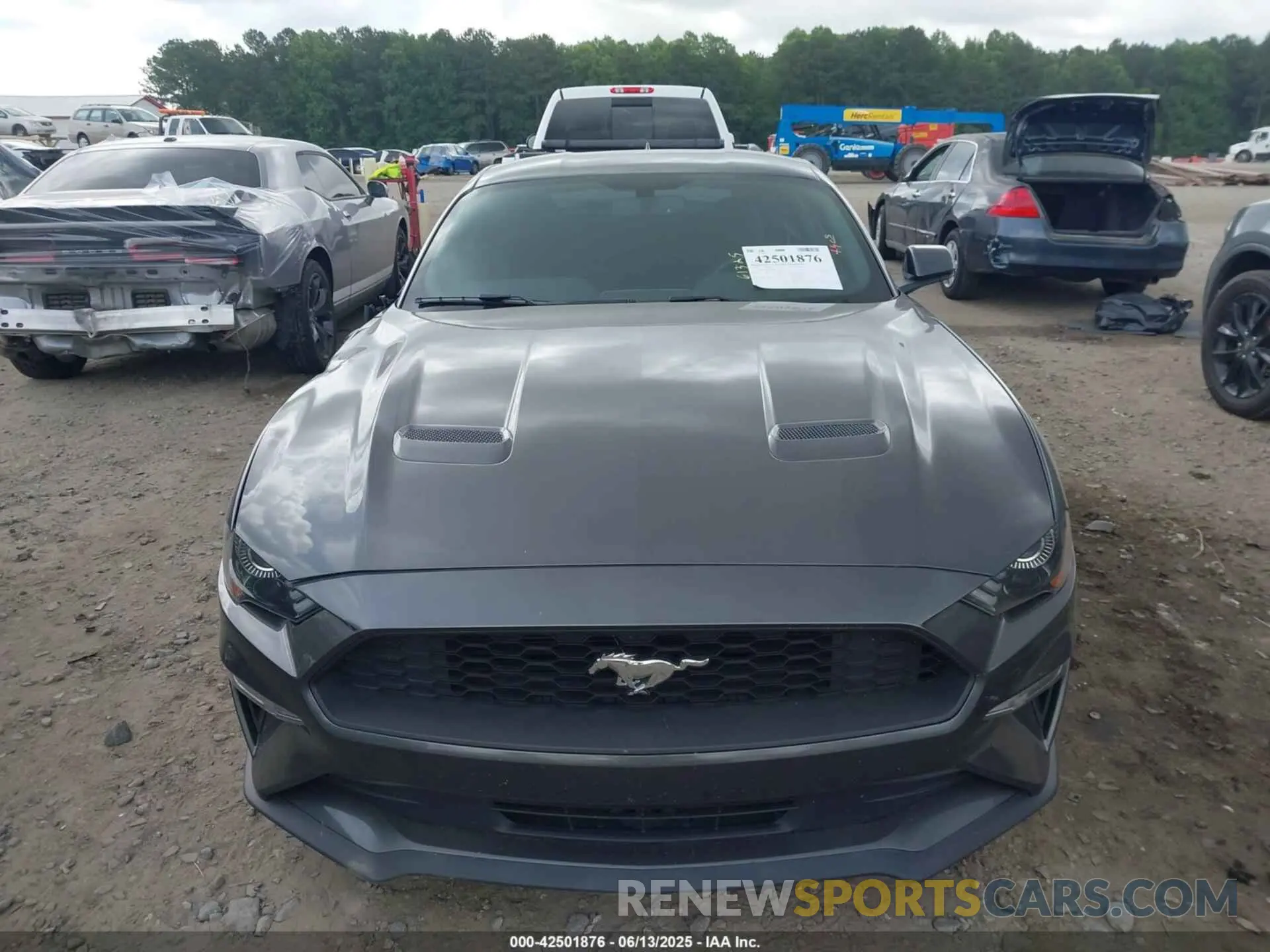 12 Photograph of a damaged car 1FA6P8TH3L5171960 FORD MUSTANG 2020