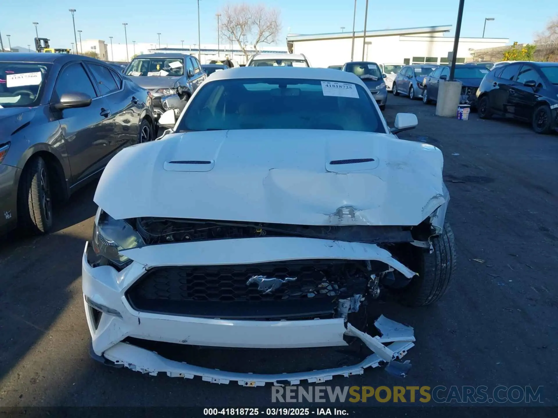 13 Photograph of a damaged car 1FA6P8TH3L5176737 FORD MUSTANG 2020
