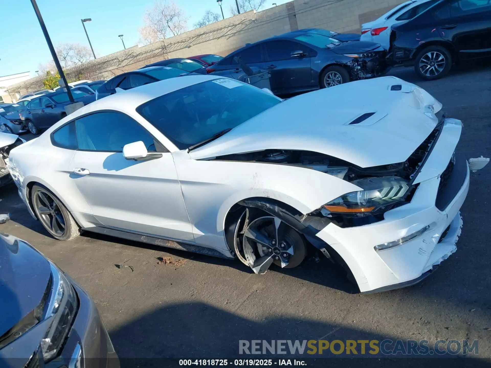 14 Photograph of a damaged car 1FA6P8TH3L5176737 FORD MUSTANG 2020