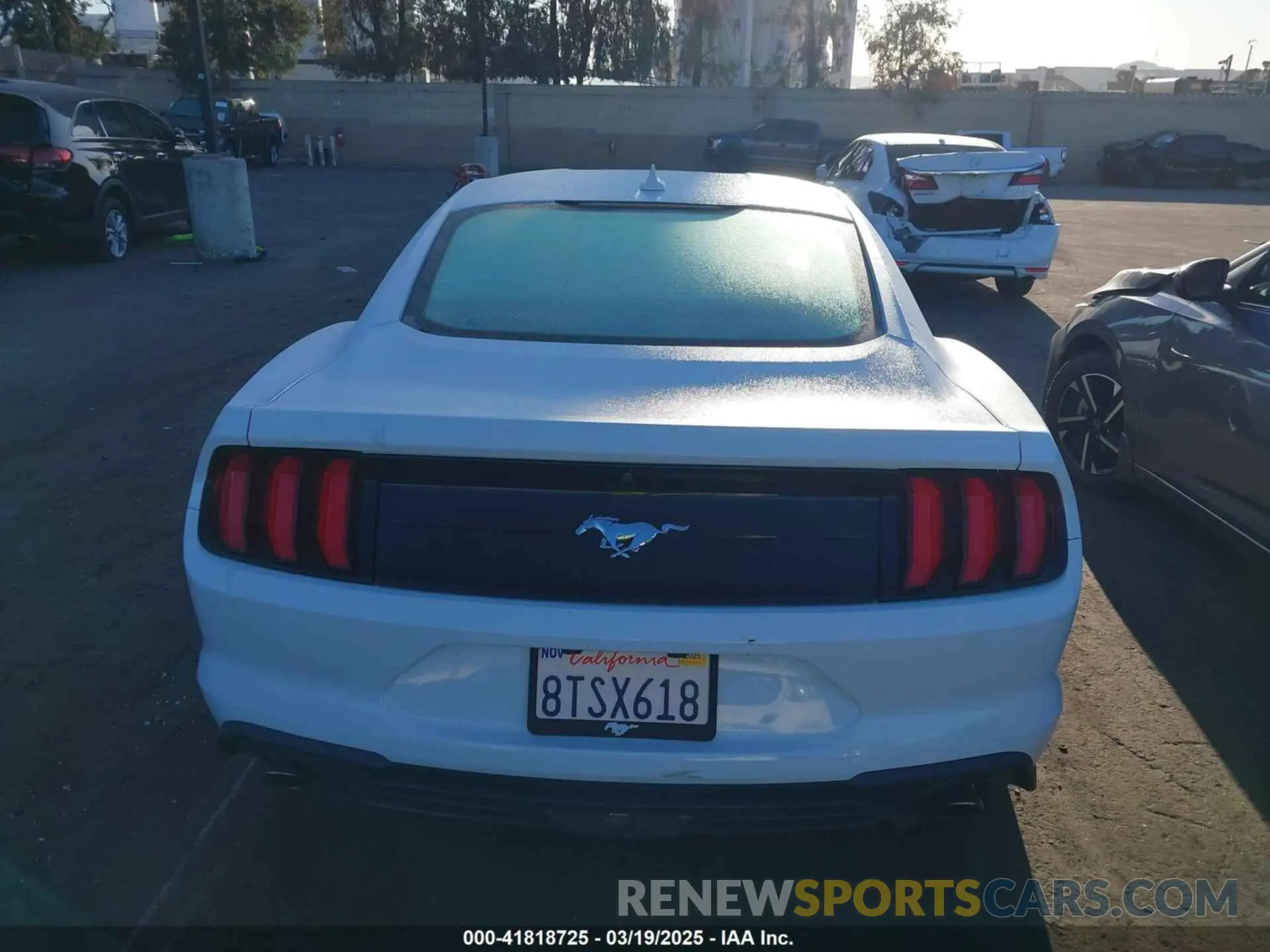17 Photograph of a damaged car 1FA6P8TH3L5176737 FORD MUSTANG 2020